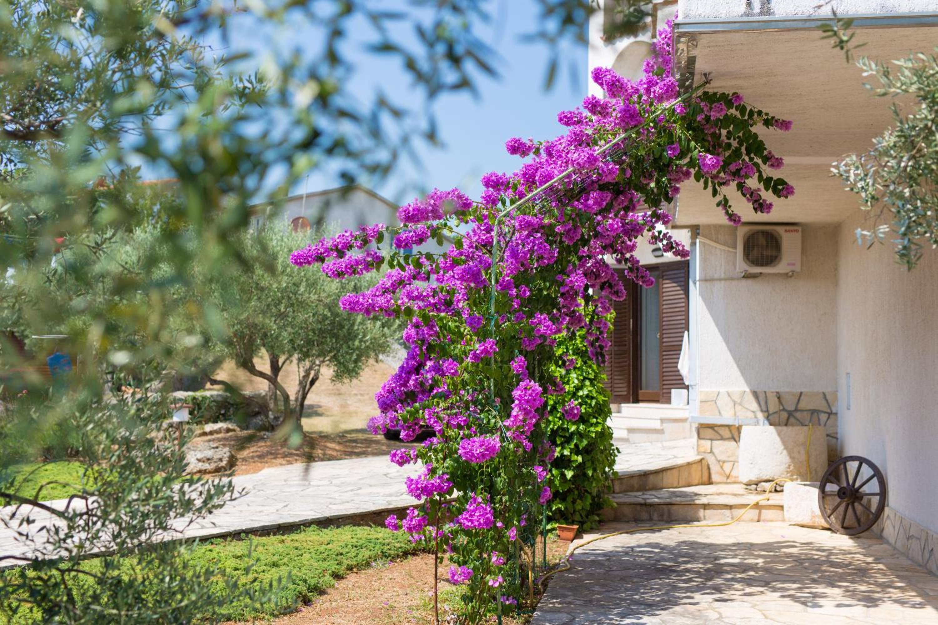 Apartments Rita