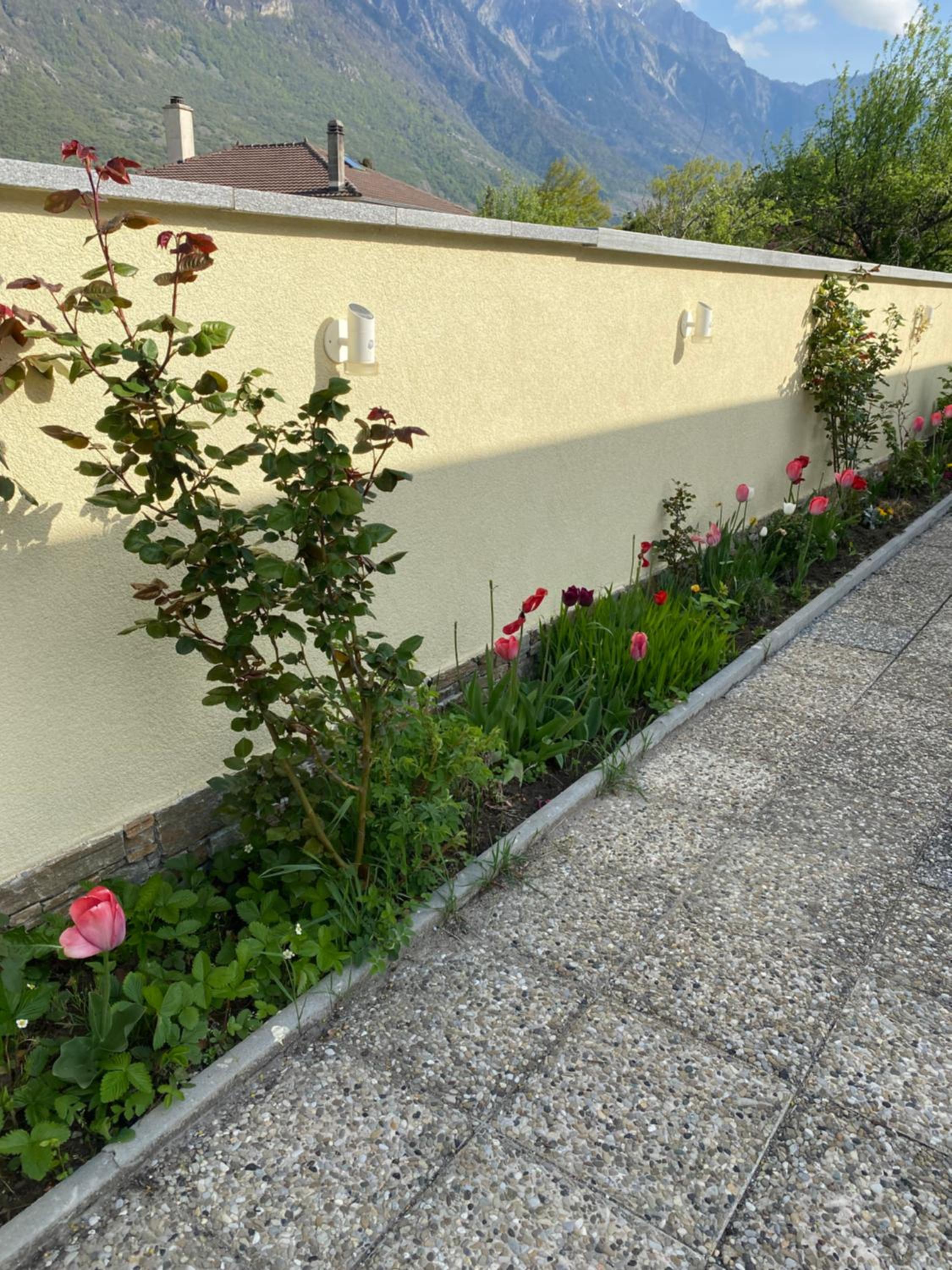 Photo 12