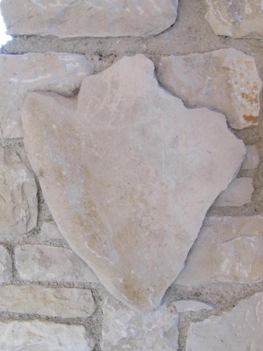 Photo 36