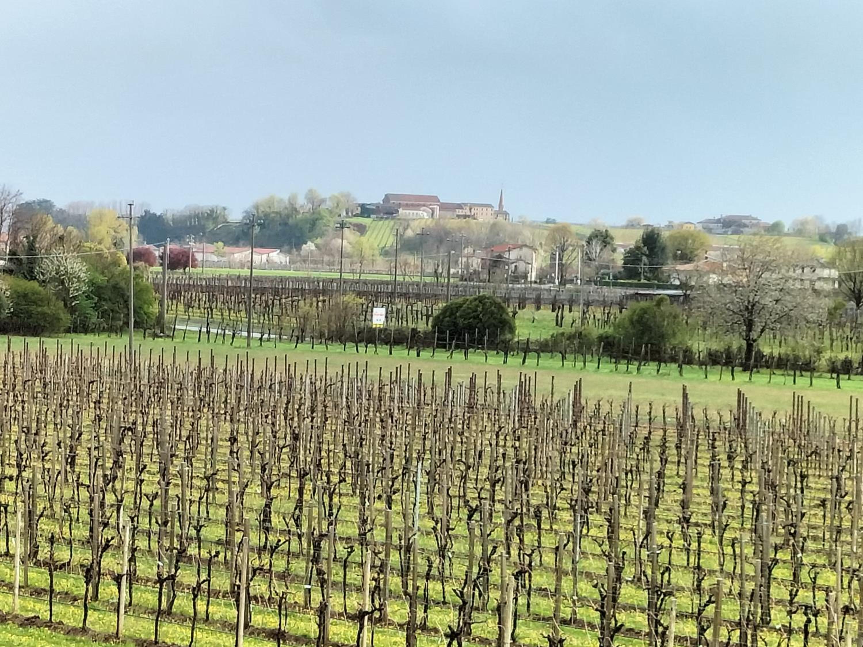 B&B Terre Di Bea