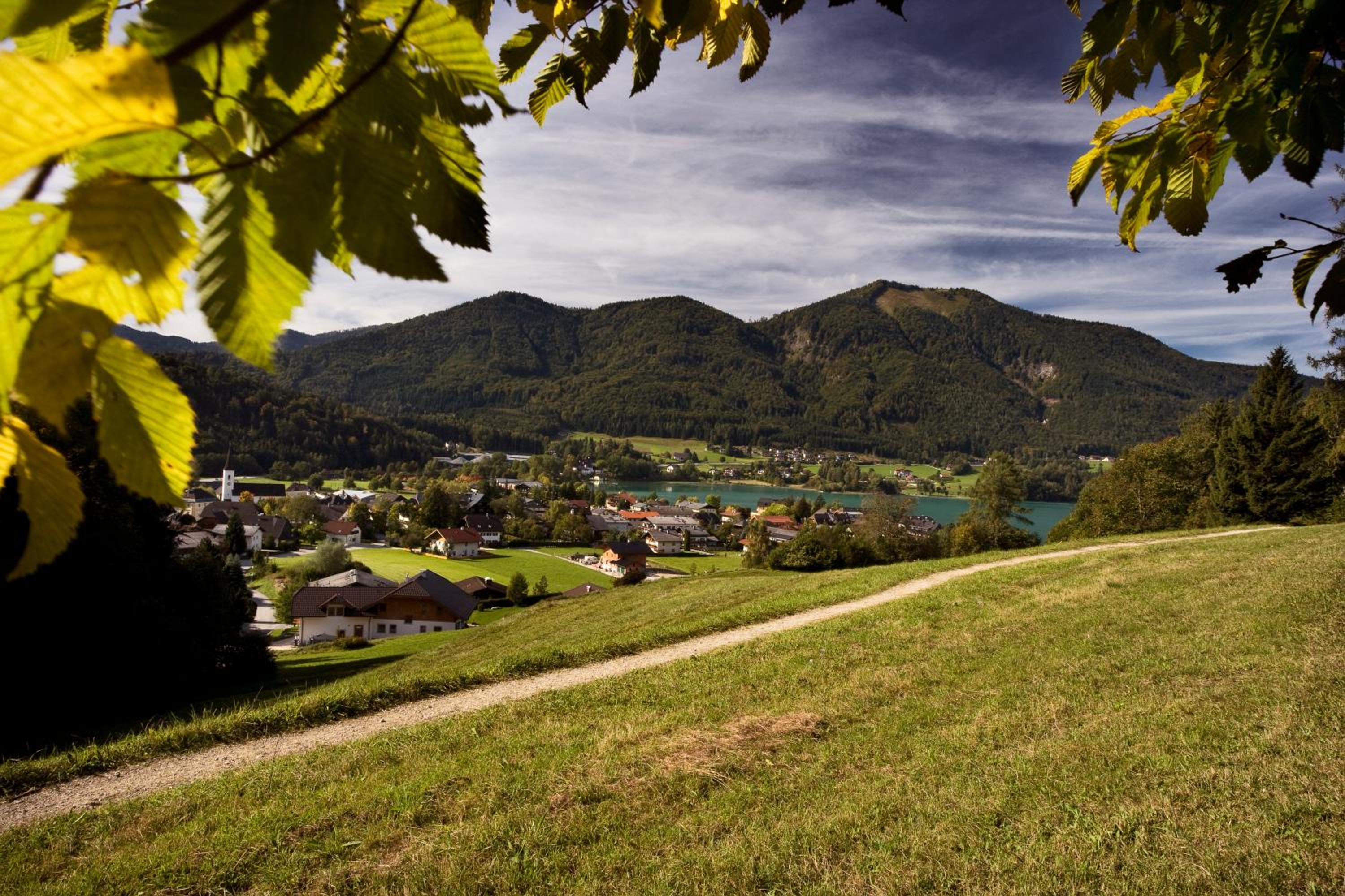 Pension Salzburger Hof
