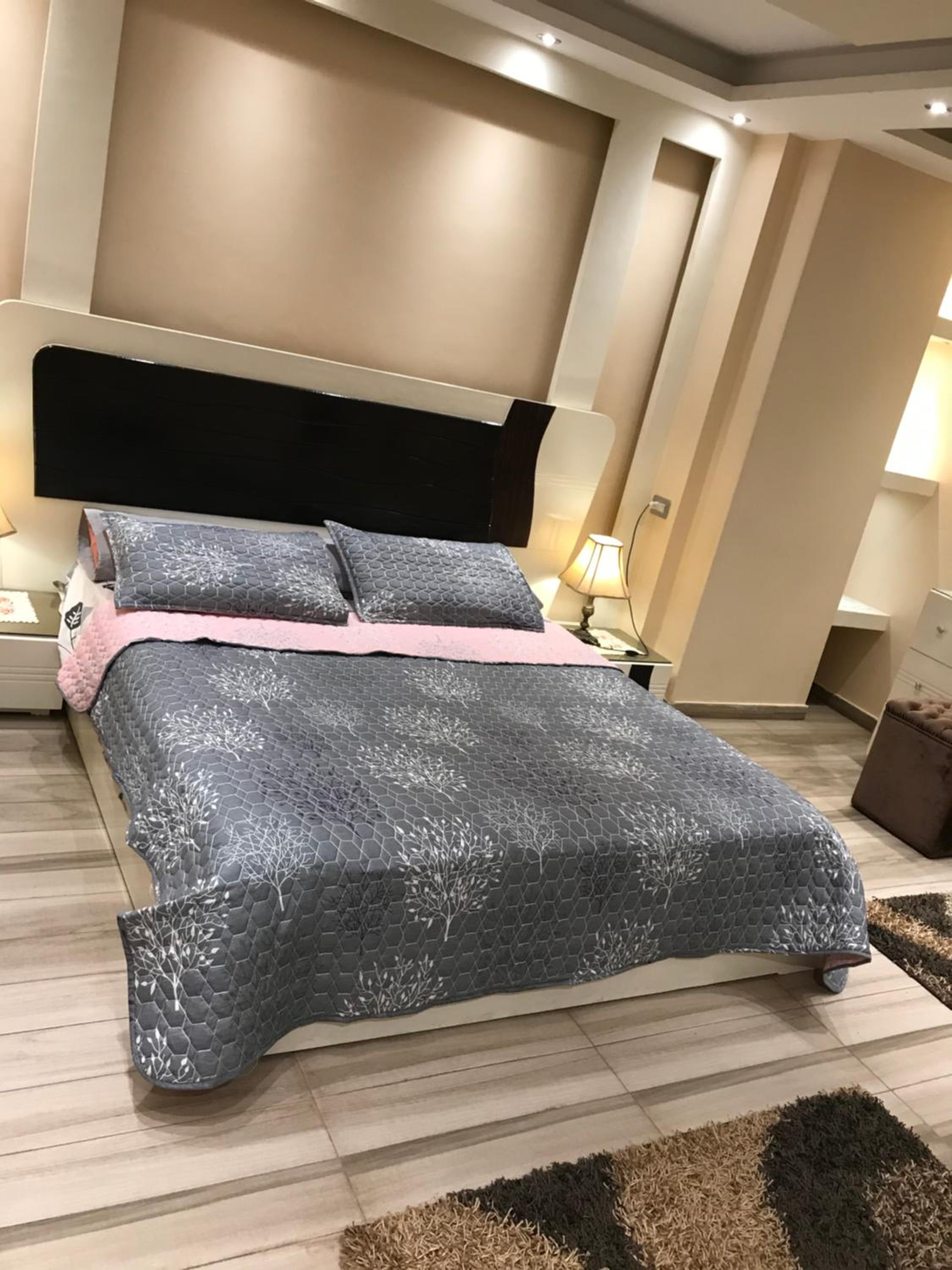 Cozy and Modern Apartment for Rent in Mohandessin