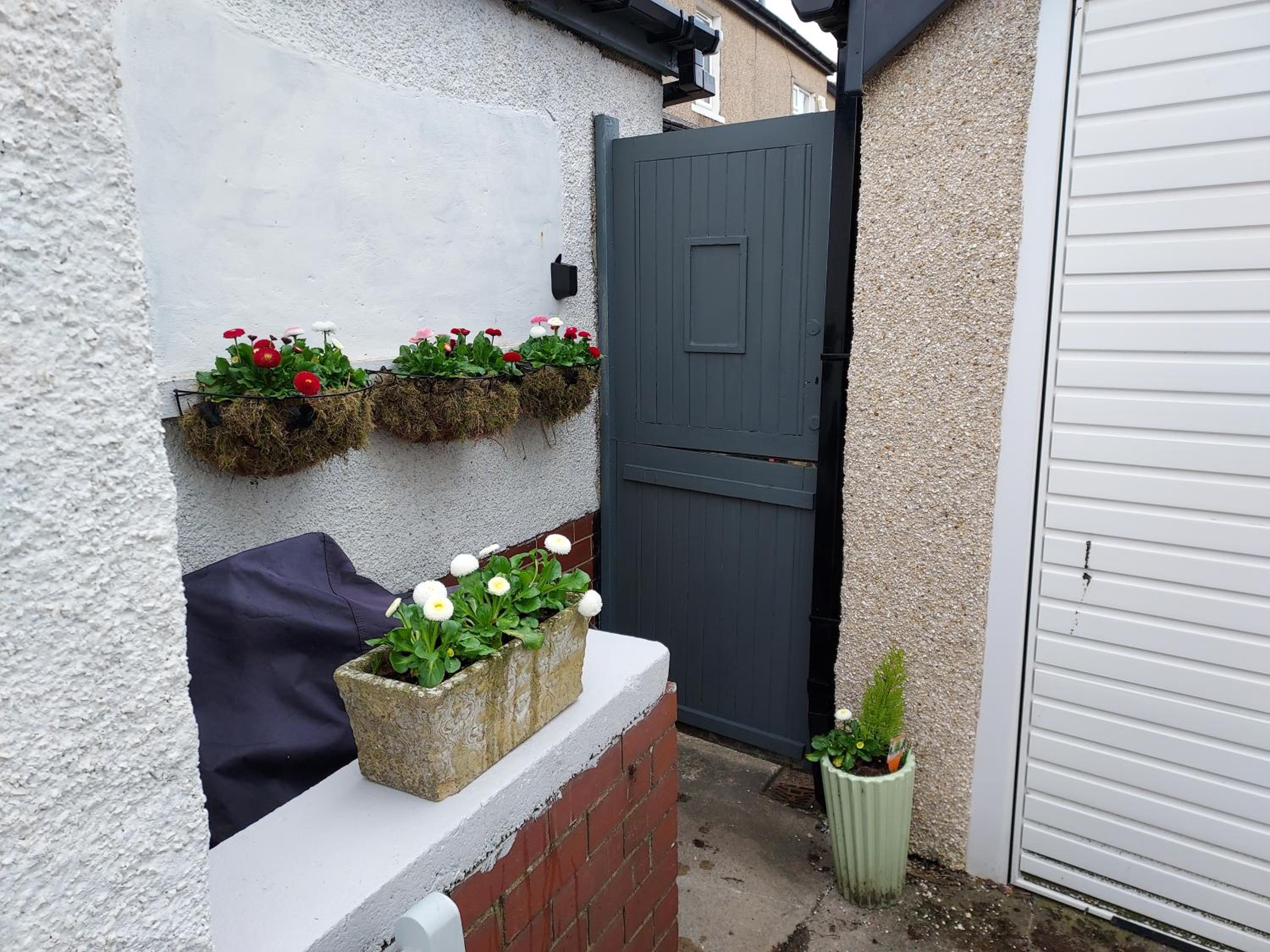 Photo 15