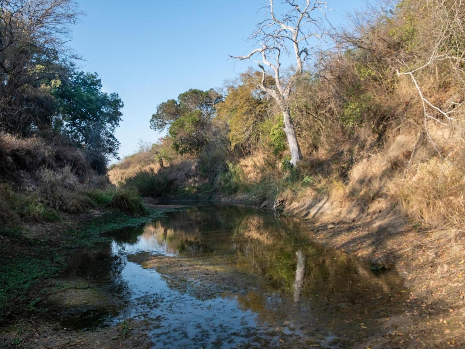 African Sky Bush Camp view 3