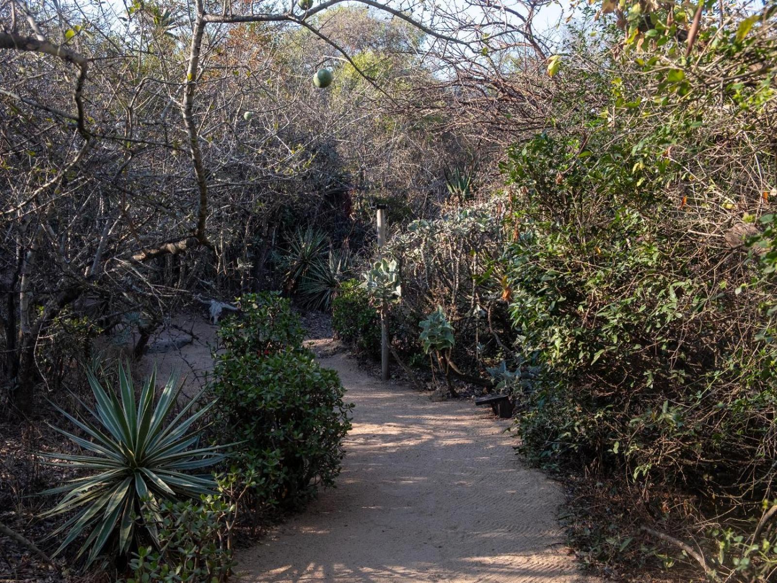 African Sky Bush Camp view 2