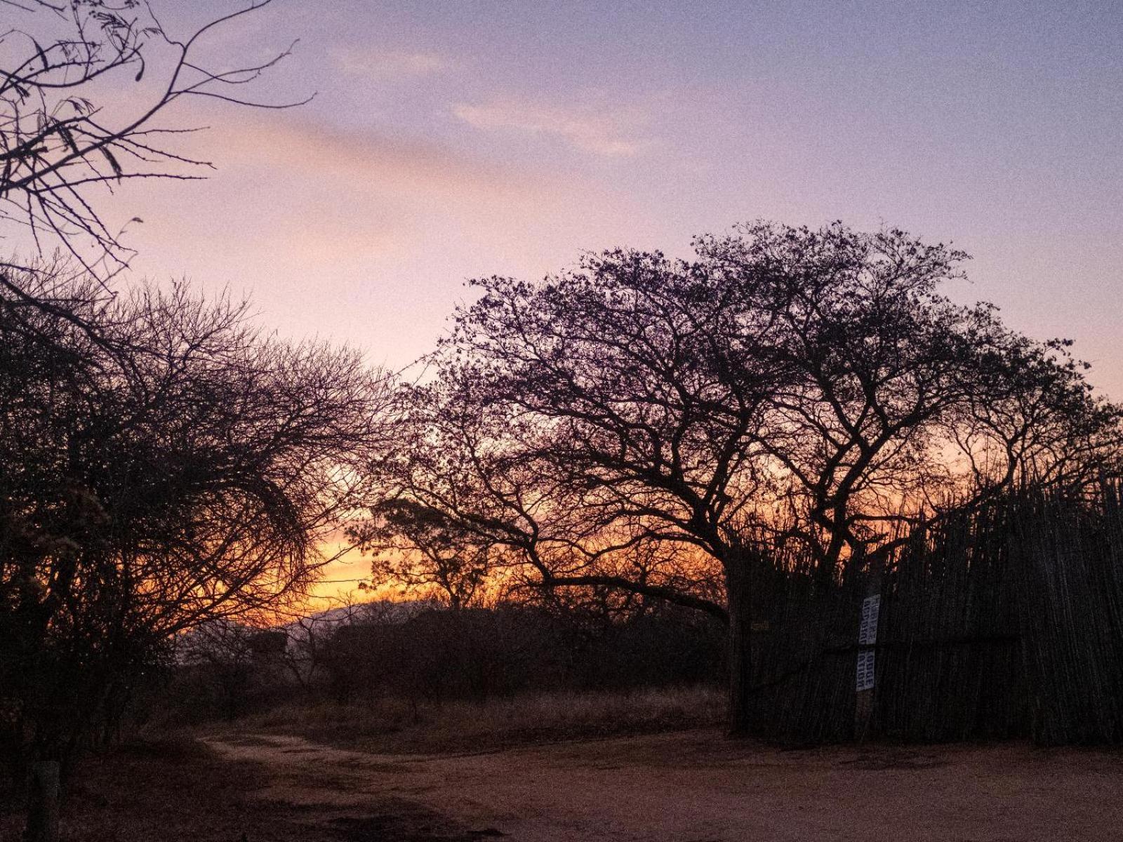 African Sky Bush Camp view 5