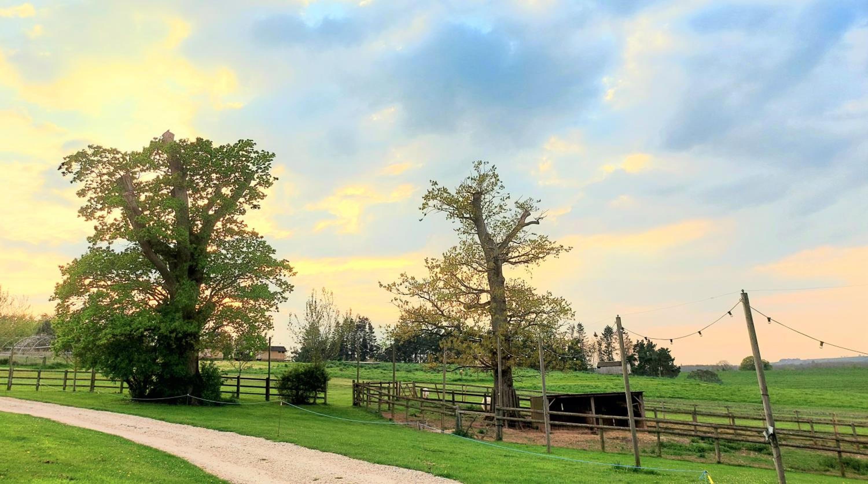 Huntstile Organic Farm