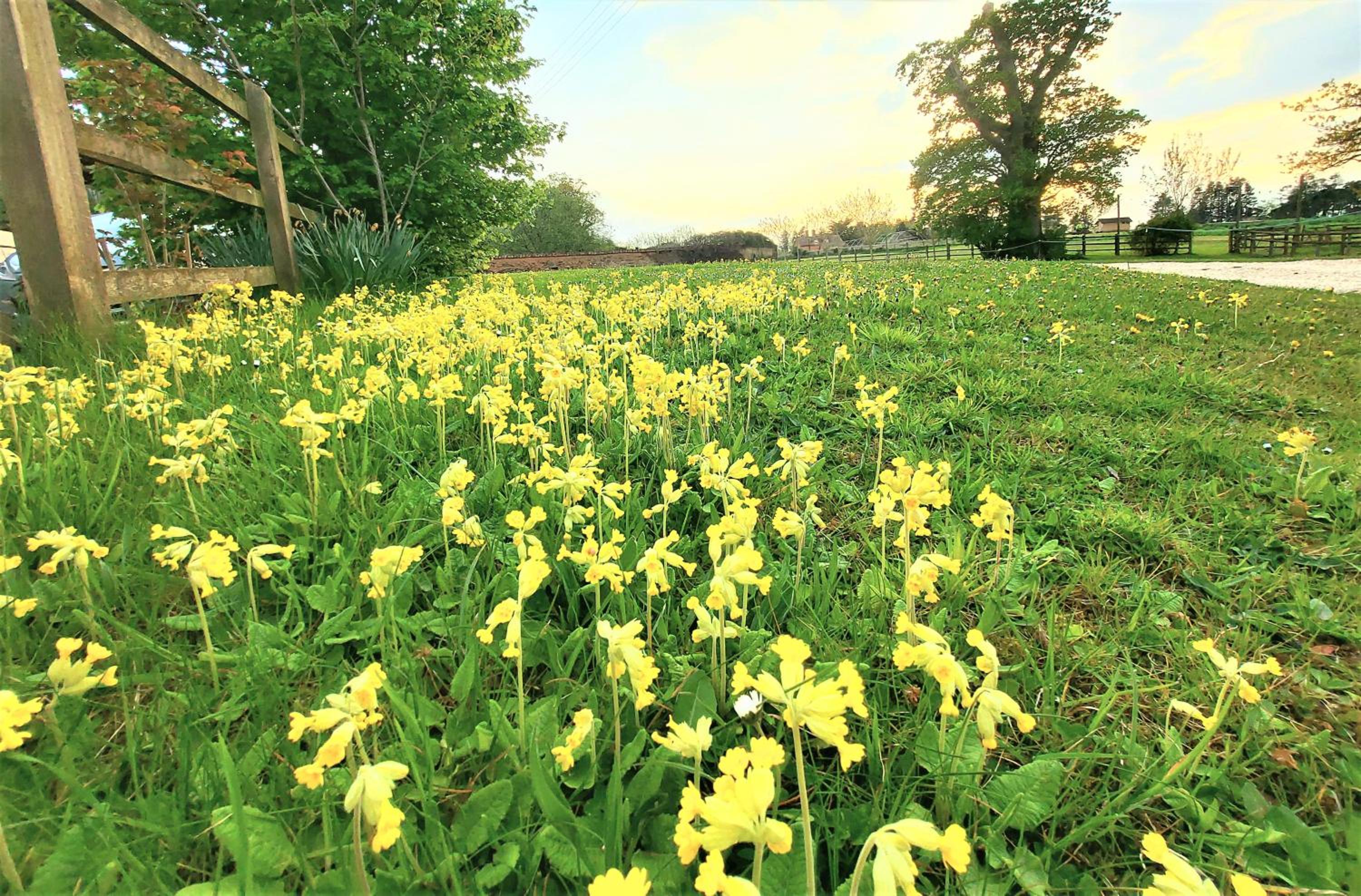 Huntstile Organic Farm