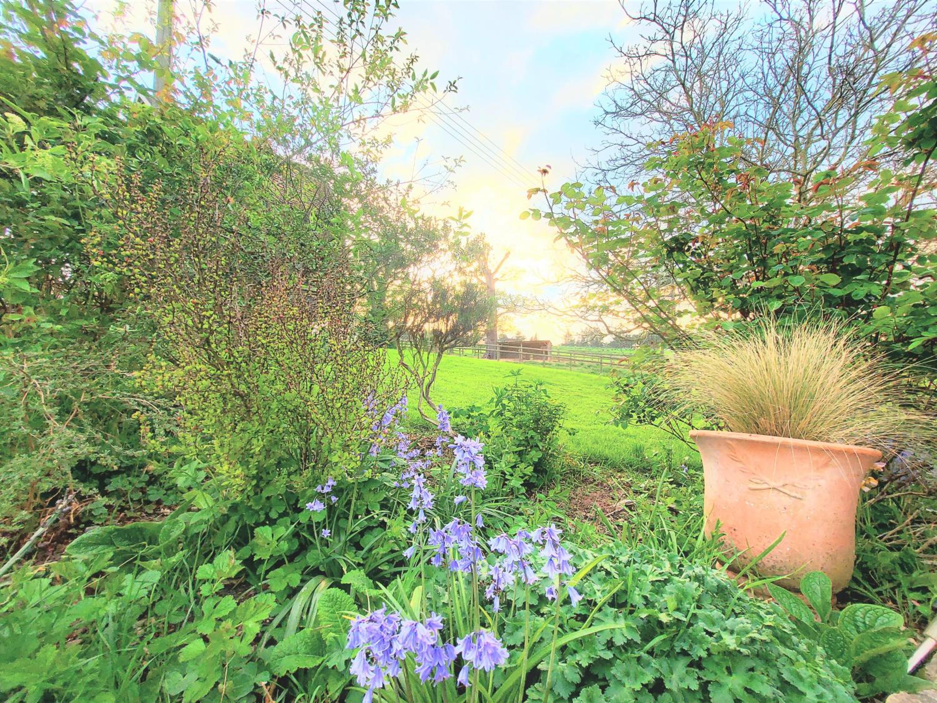 Huntstile Organic Farm