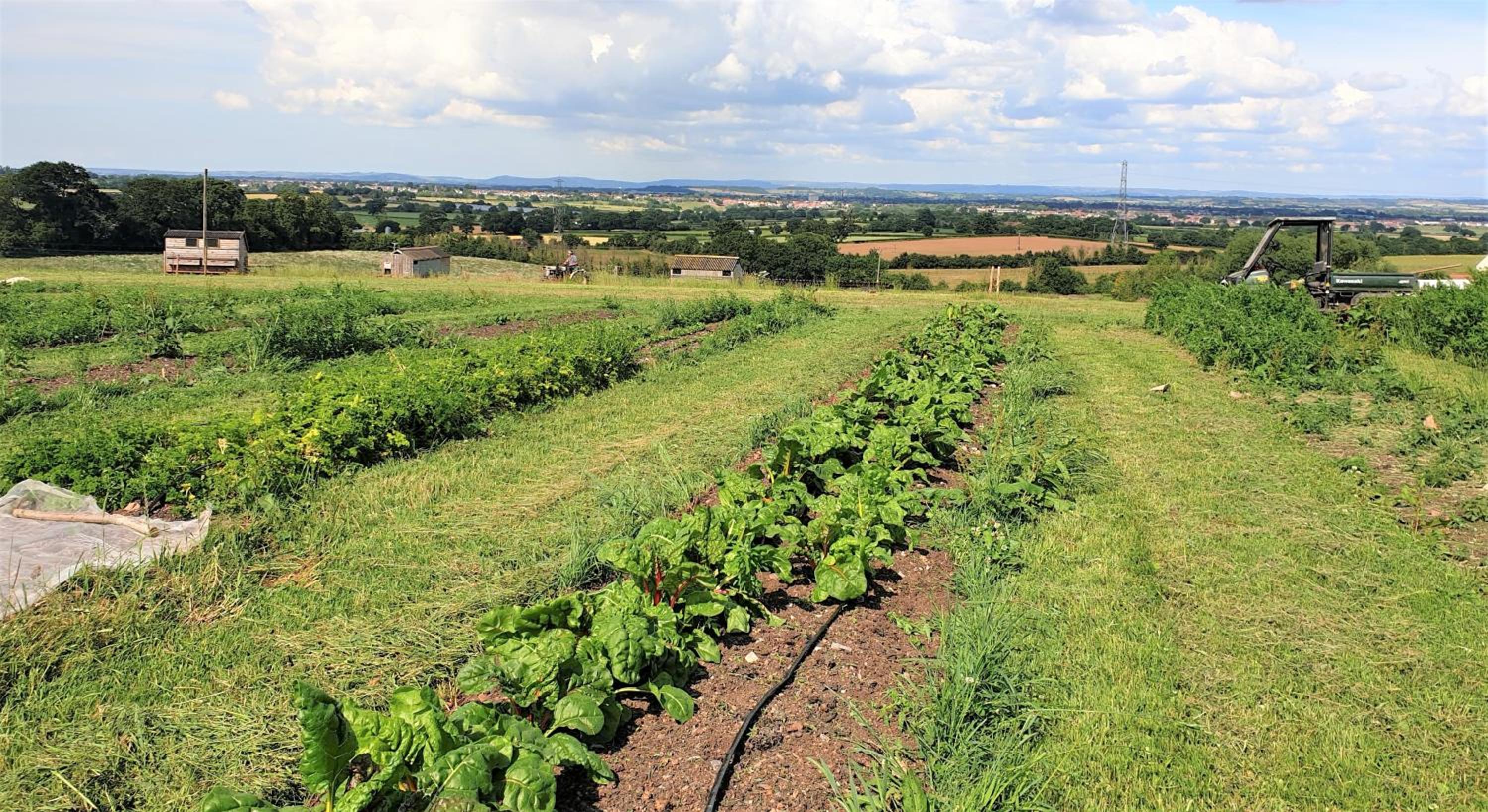 Huntstile Organic Farm