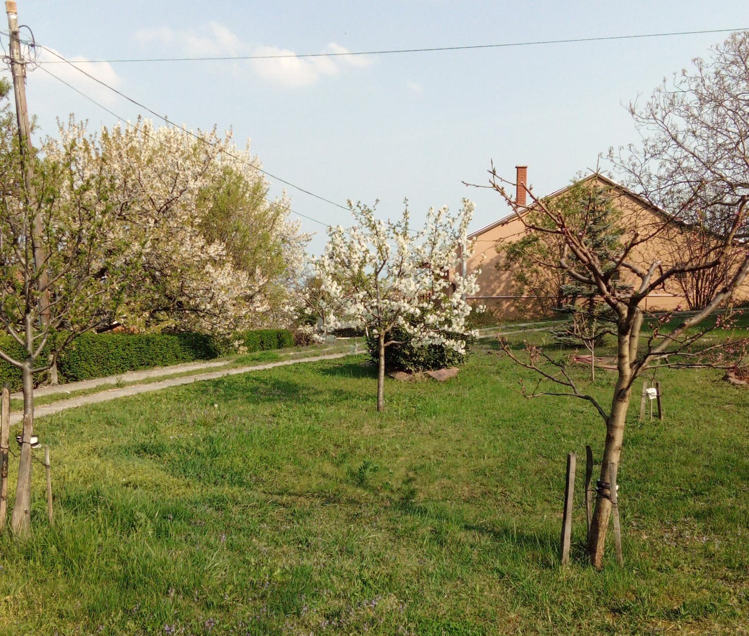 Panoráma Pihenőház view 2
