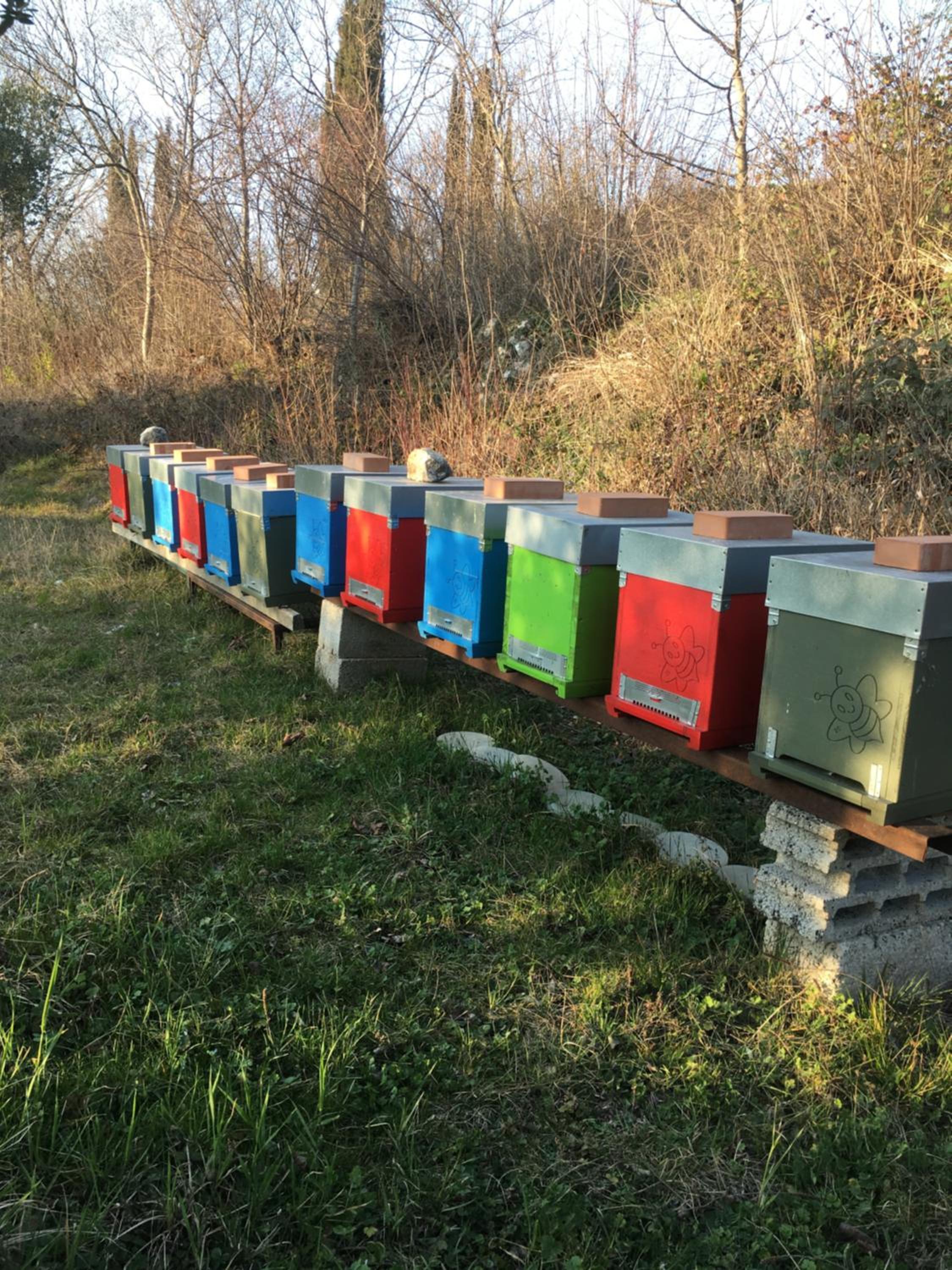 Agriturismo Casa Rosa