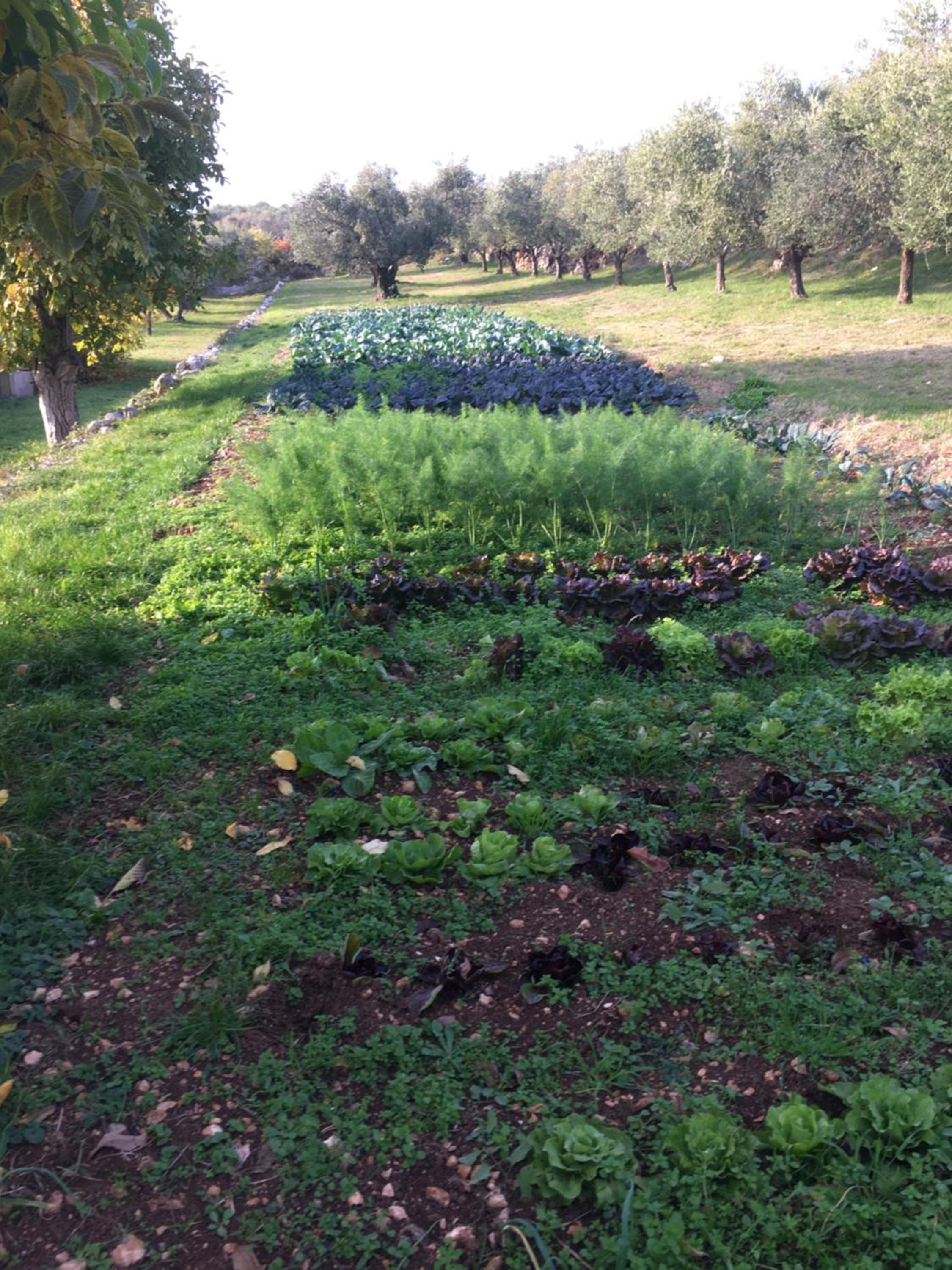 Agriturismo Casa Rosa