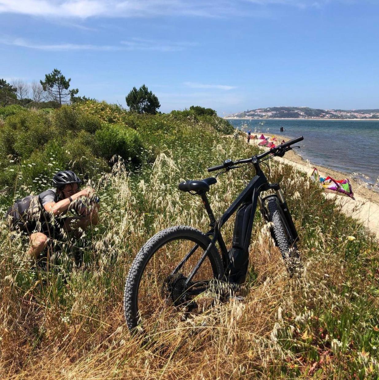 Bedebike view 4