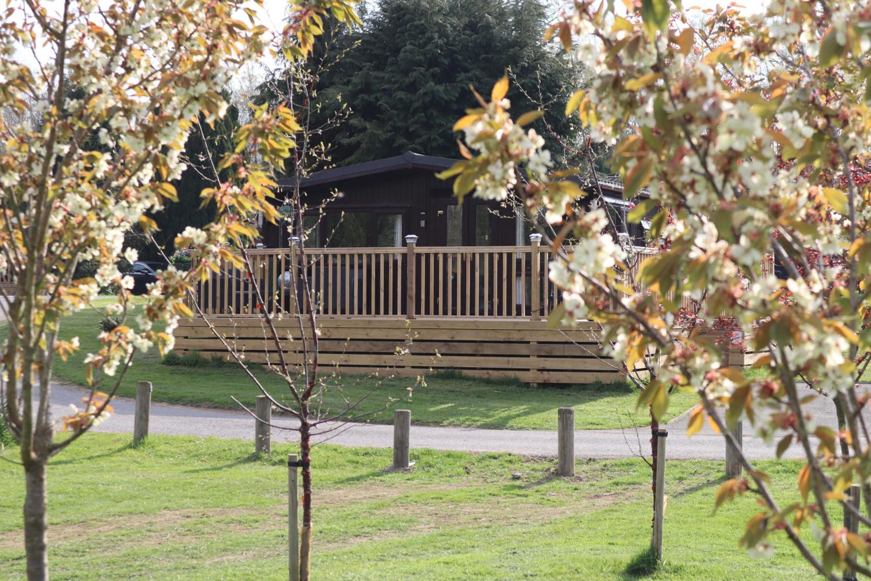 HEDDFAN, Luxury 3 bedroom timber lodge, Now with WiFi, Caer Beris Holiday Park, Builth Wells, SORRY NO TRADESMEN OR CONTRACTORS ALLOWED view 2
