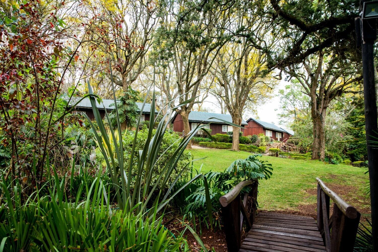 Naro Moru River Lodge