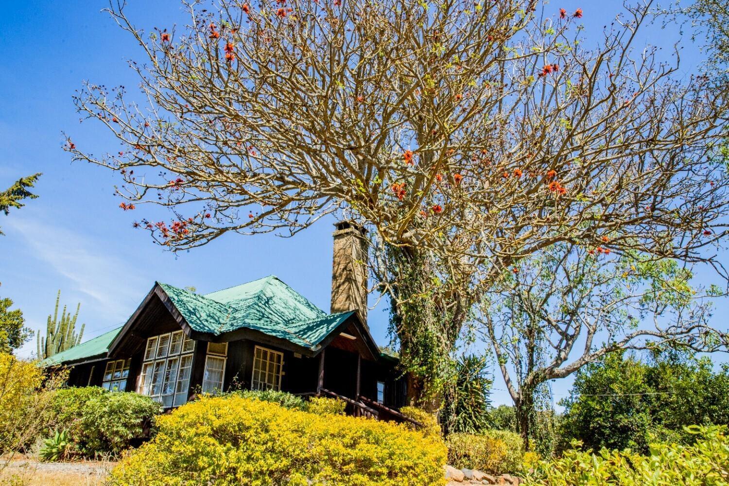 Naro Moru River Lodge