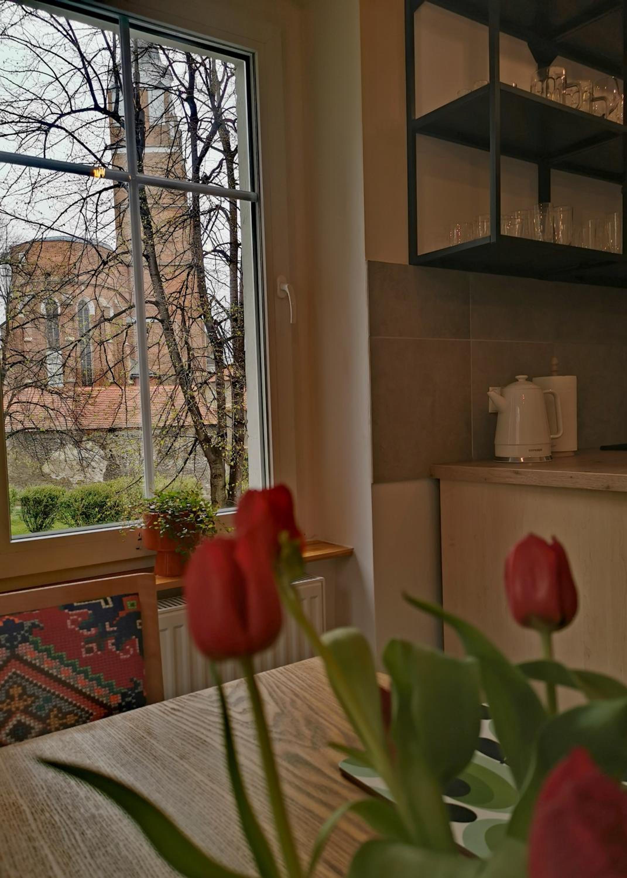 Apartament Retro, photo 33