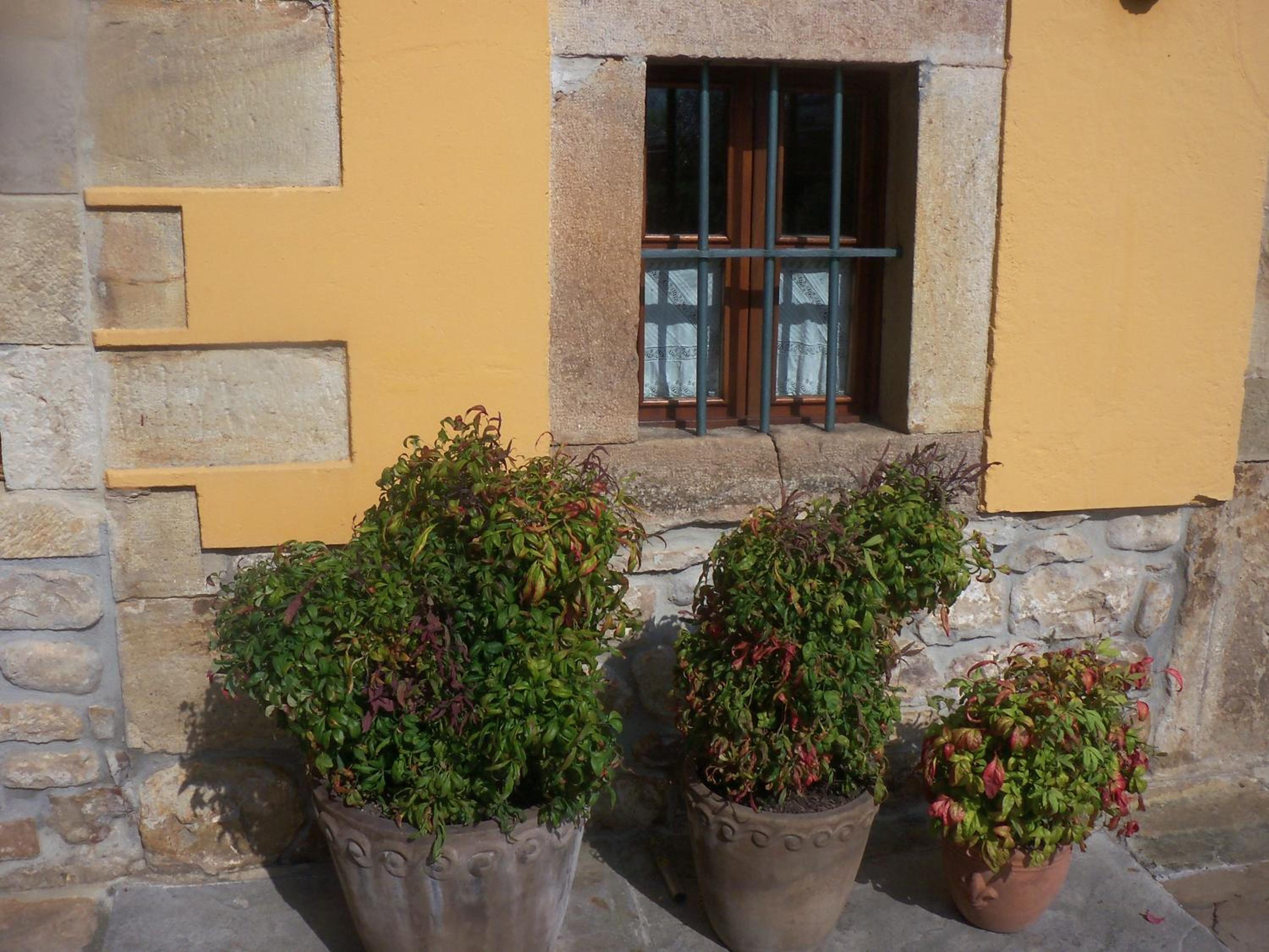 Apartamentos Rurales La Casa Vieja De Silió