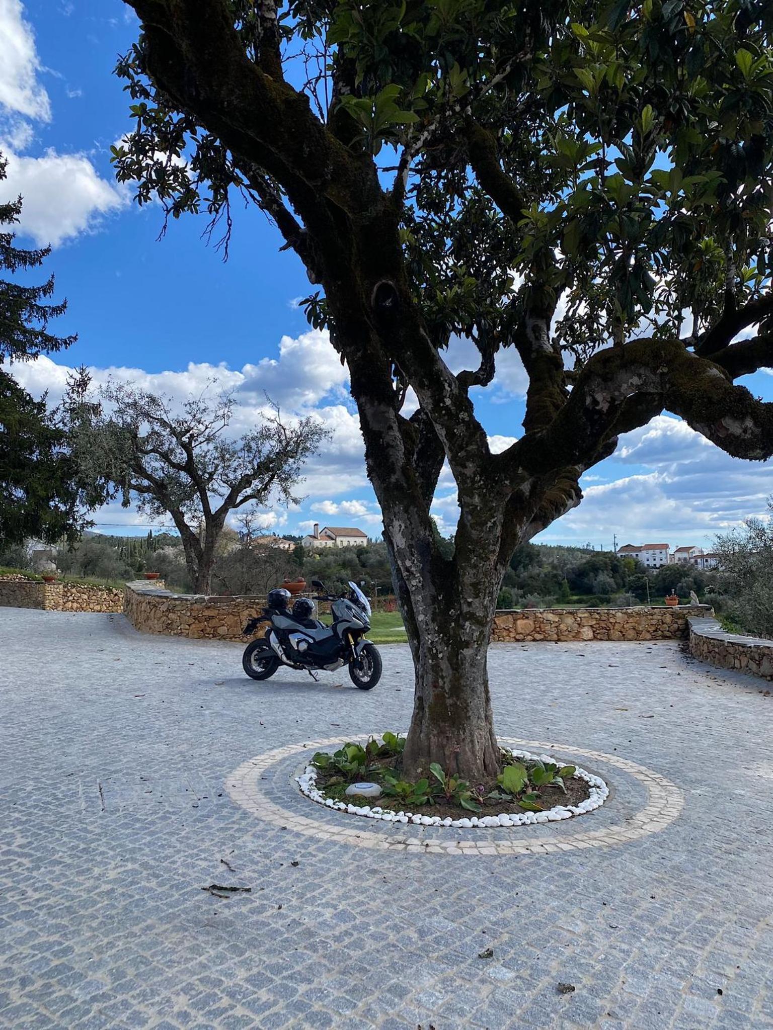 Quinta da Rocha 1875 view 2