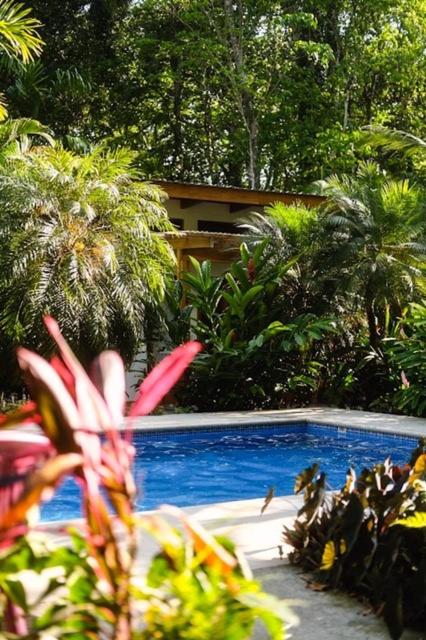 La Paz del Caribe Adults Only