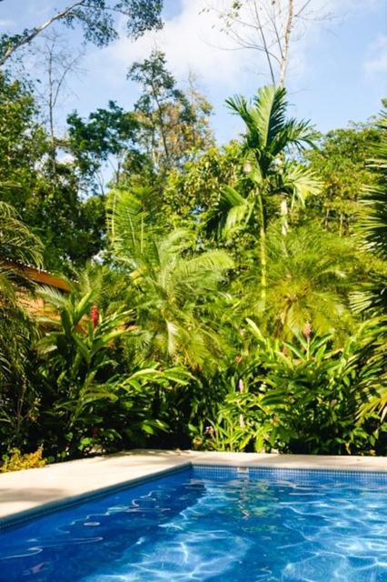 La Paz del Caribe Adults Only