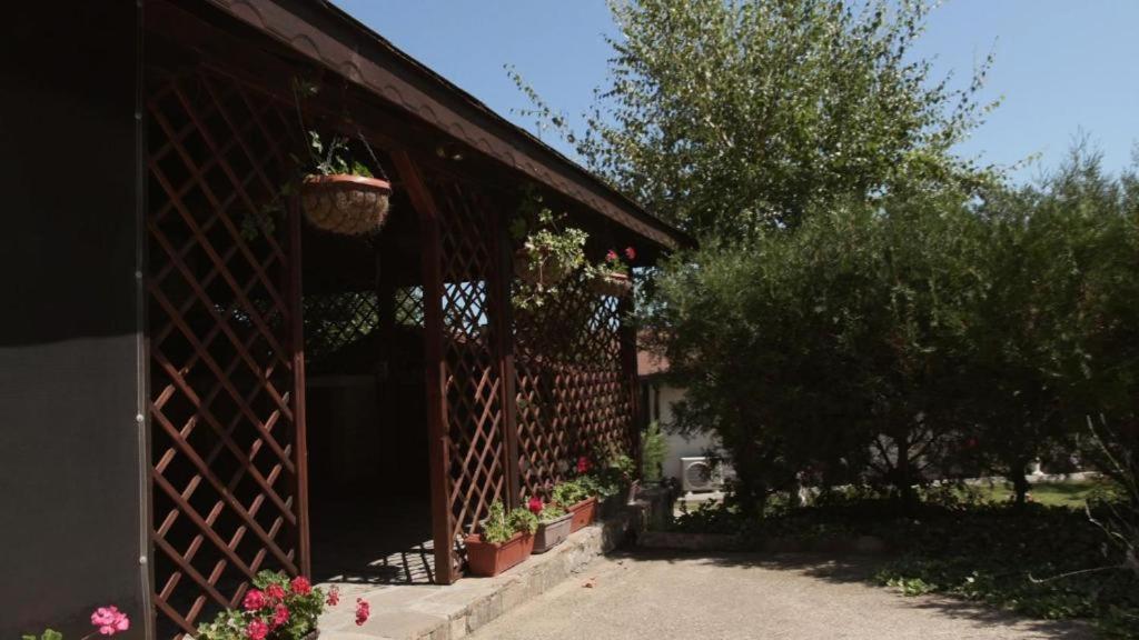 Къща за гости АЛЛА