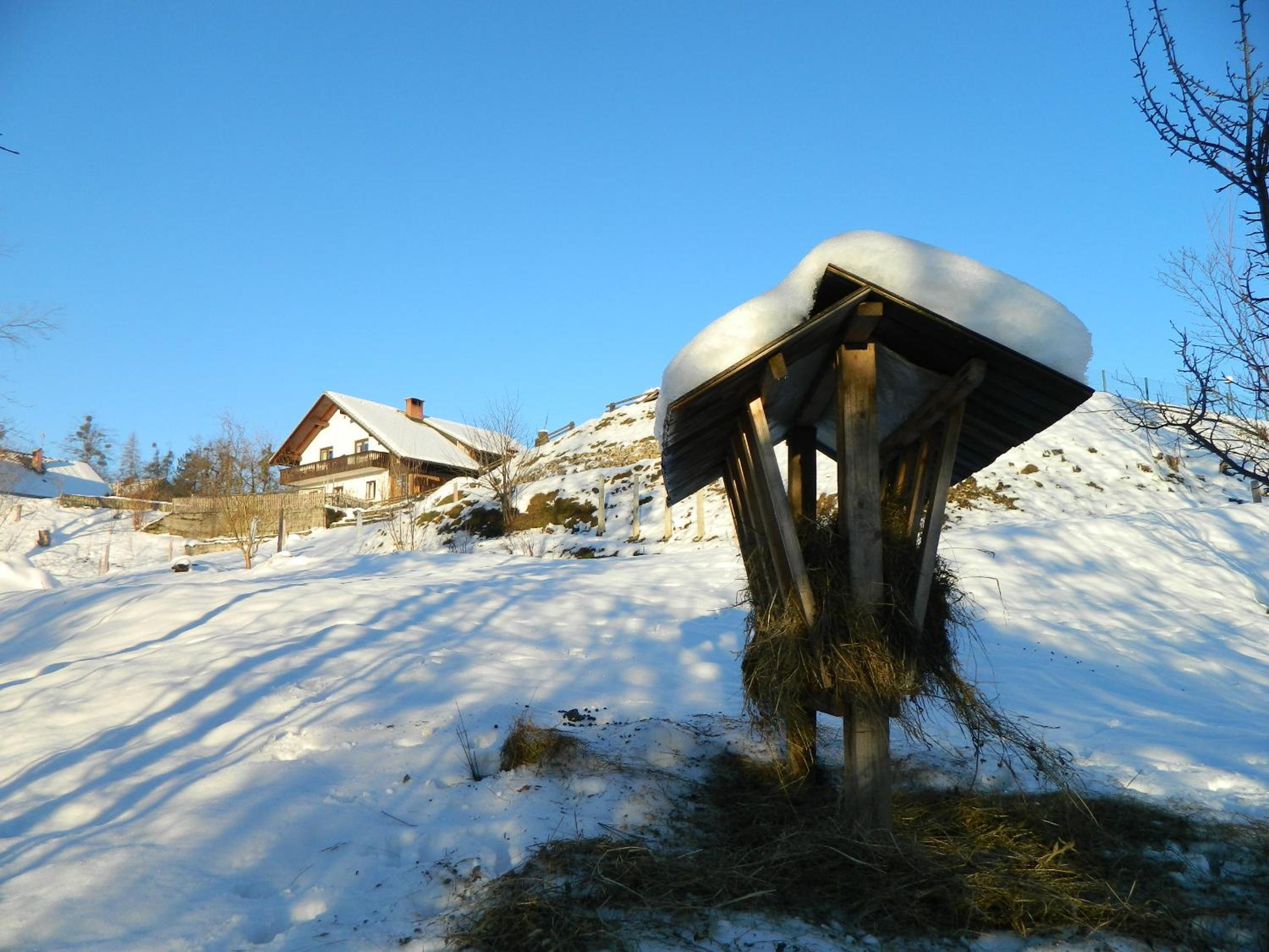 Photo 21