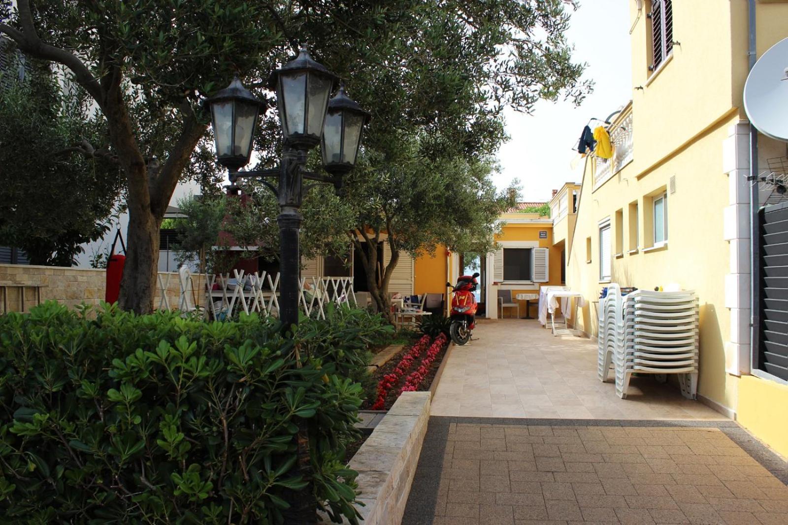 Photo 6