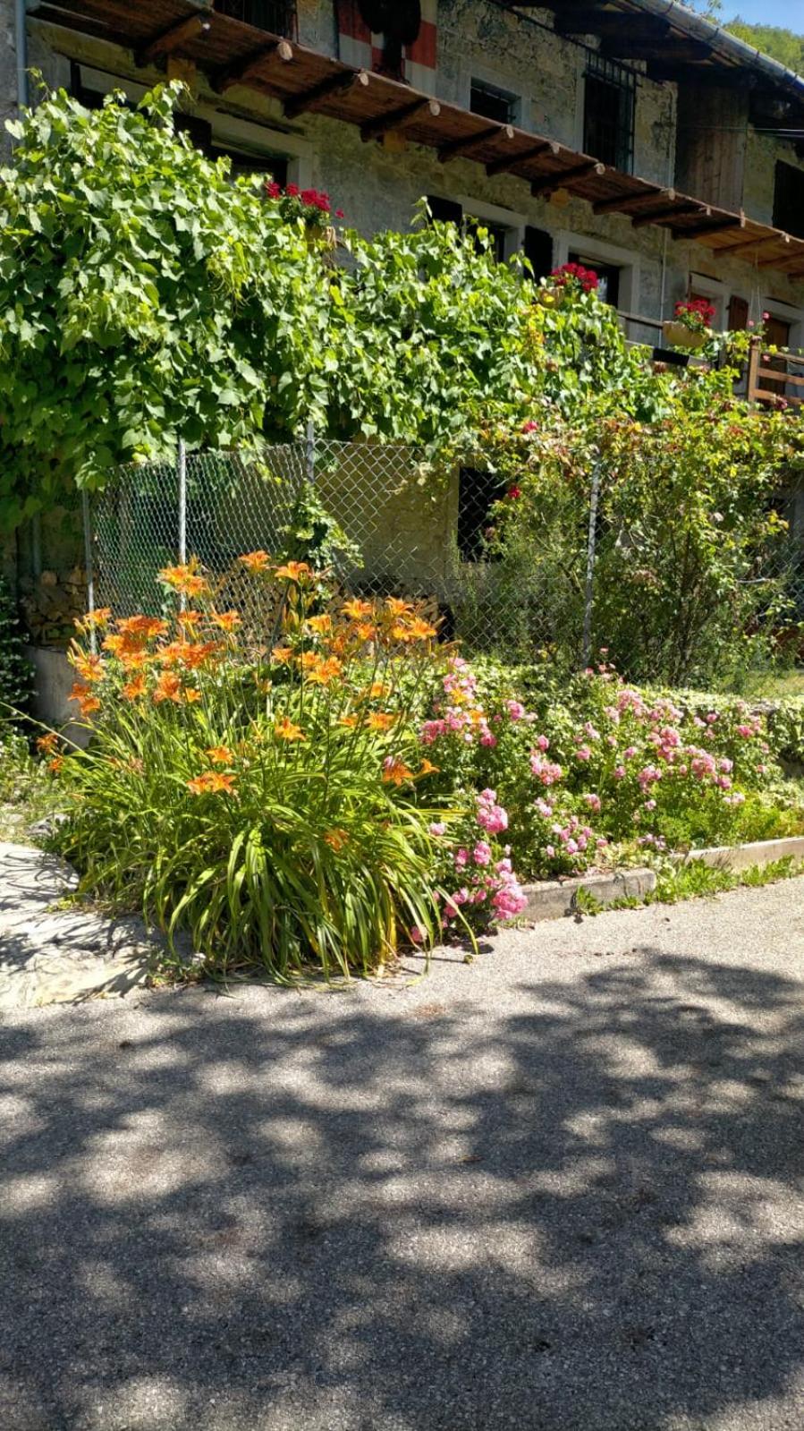 Photo 40