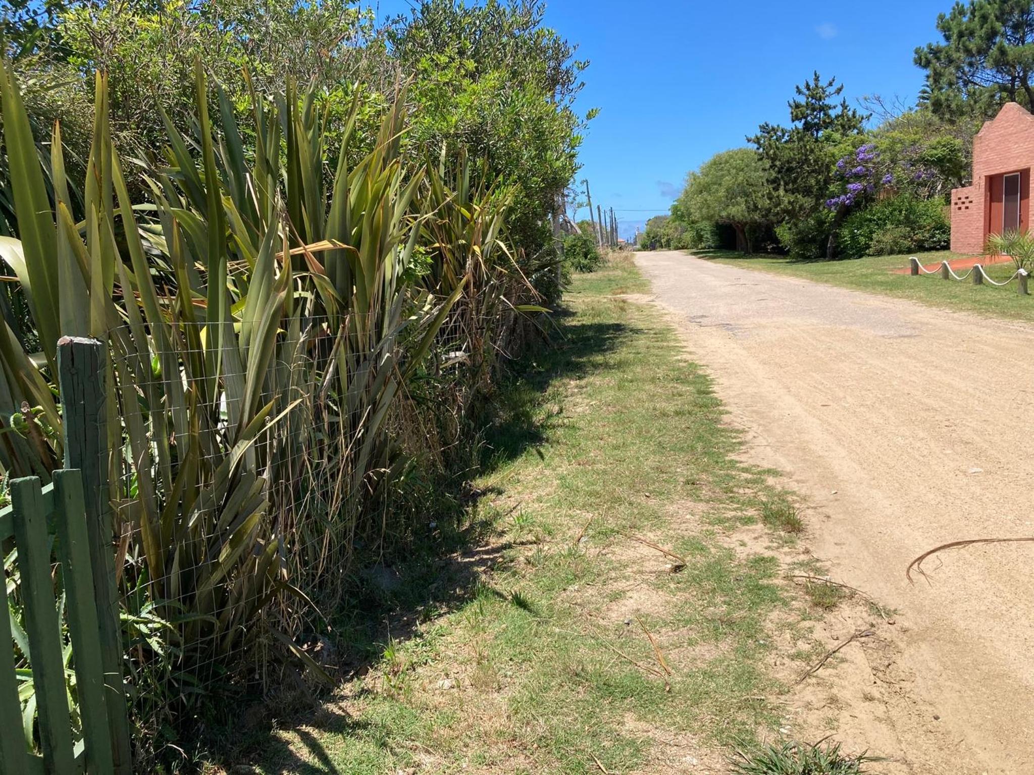 Photo 99