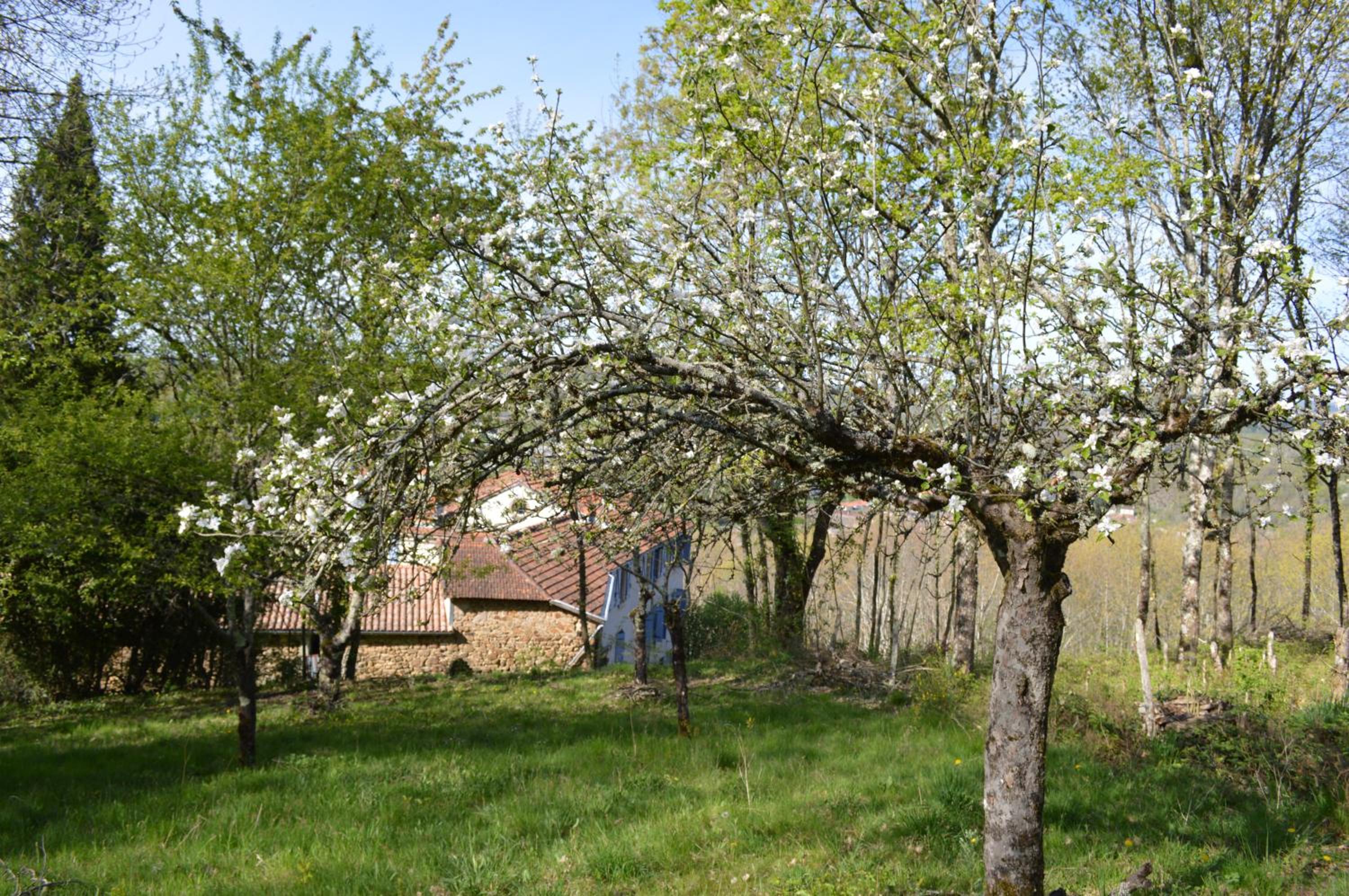 Photo 22