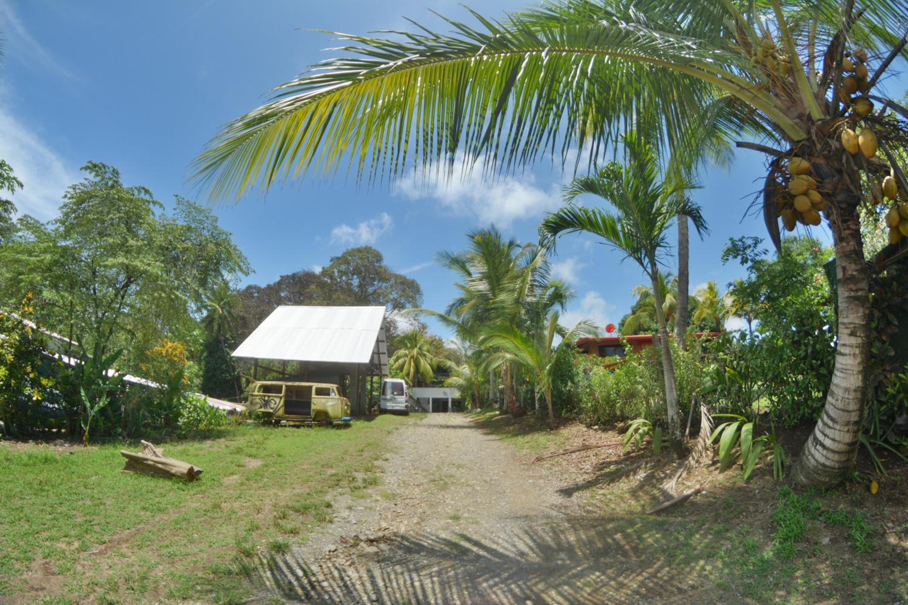 Photo 10