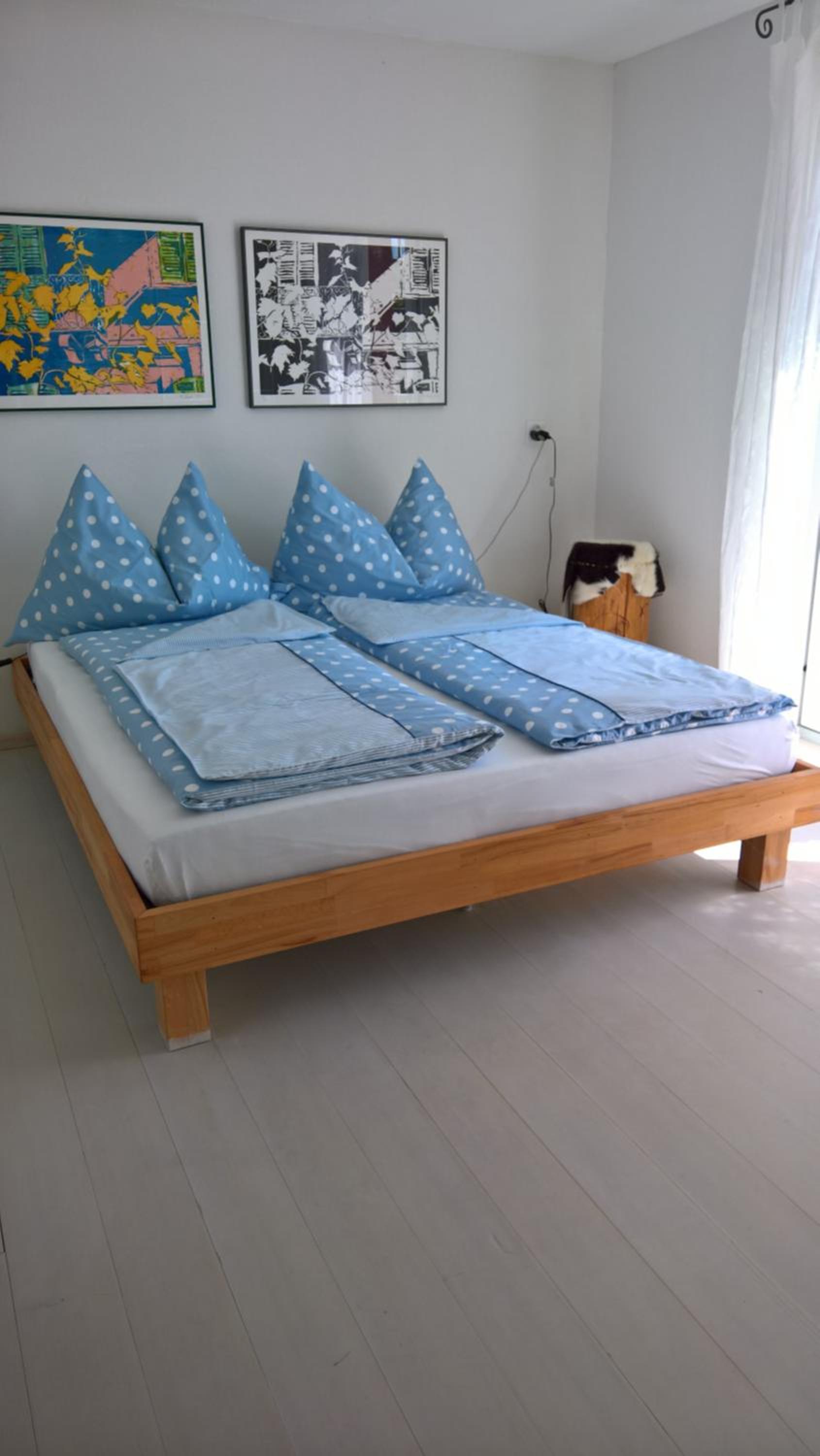 Swiss Borzoi House
