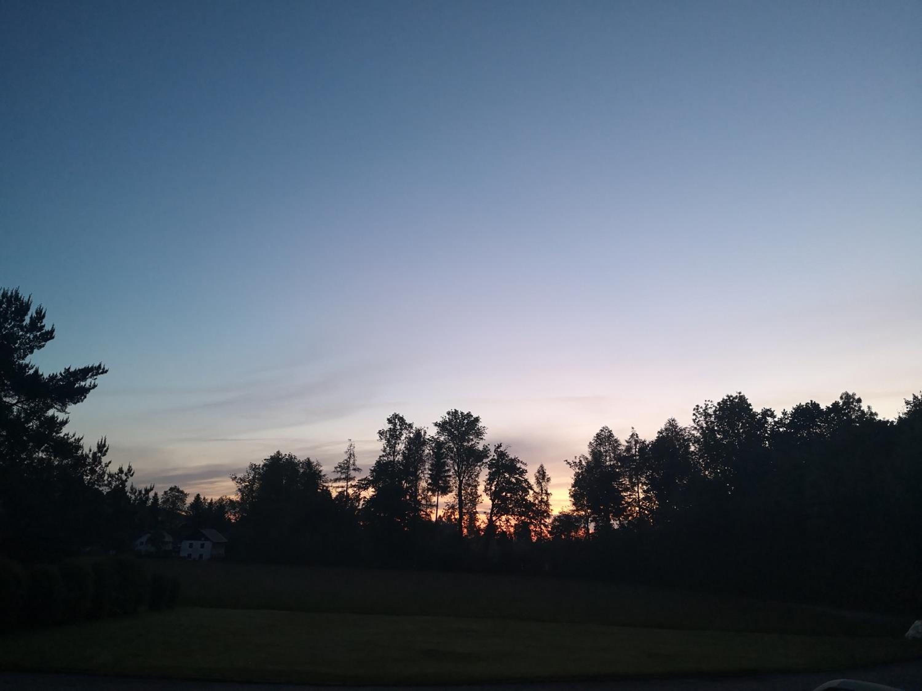 Photo 38