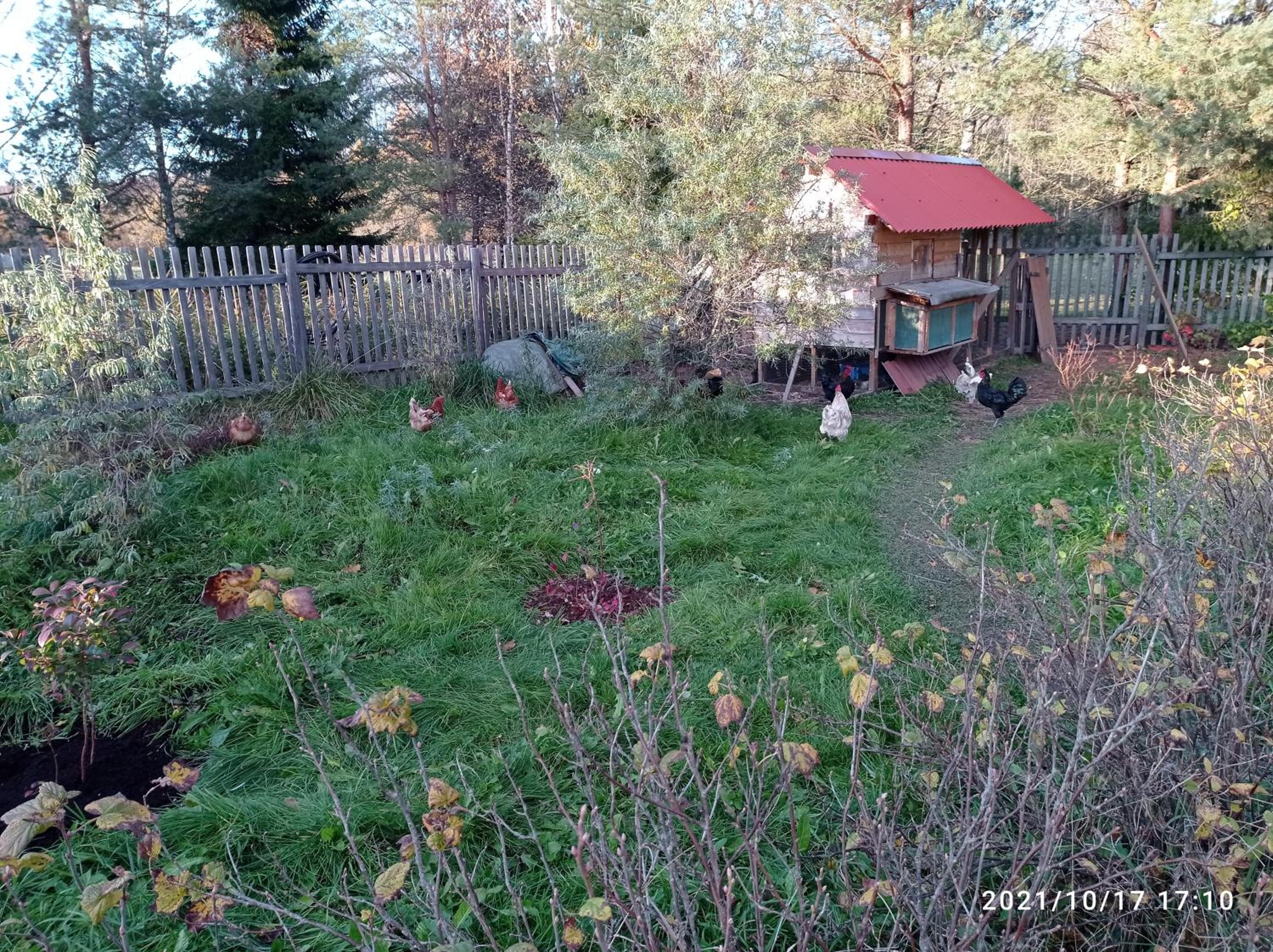 Photo 11