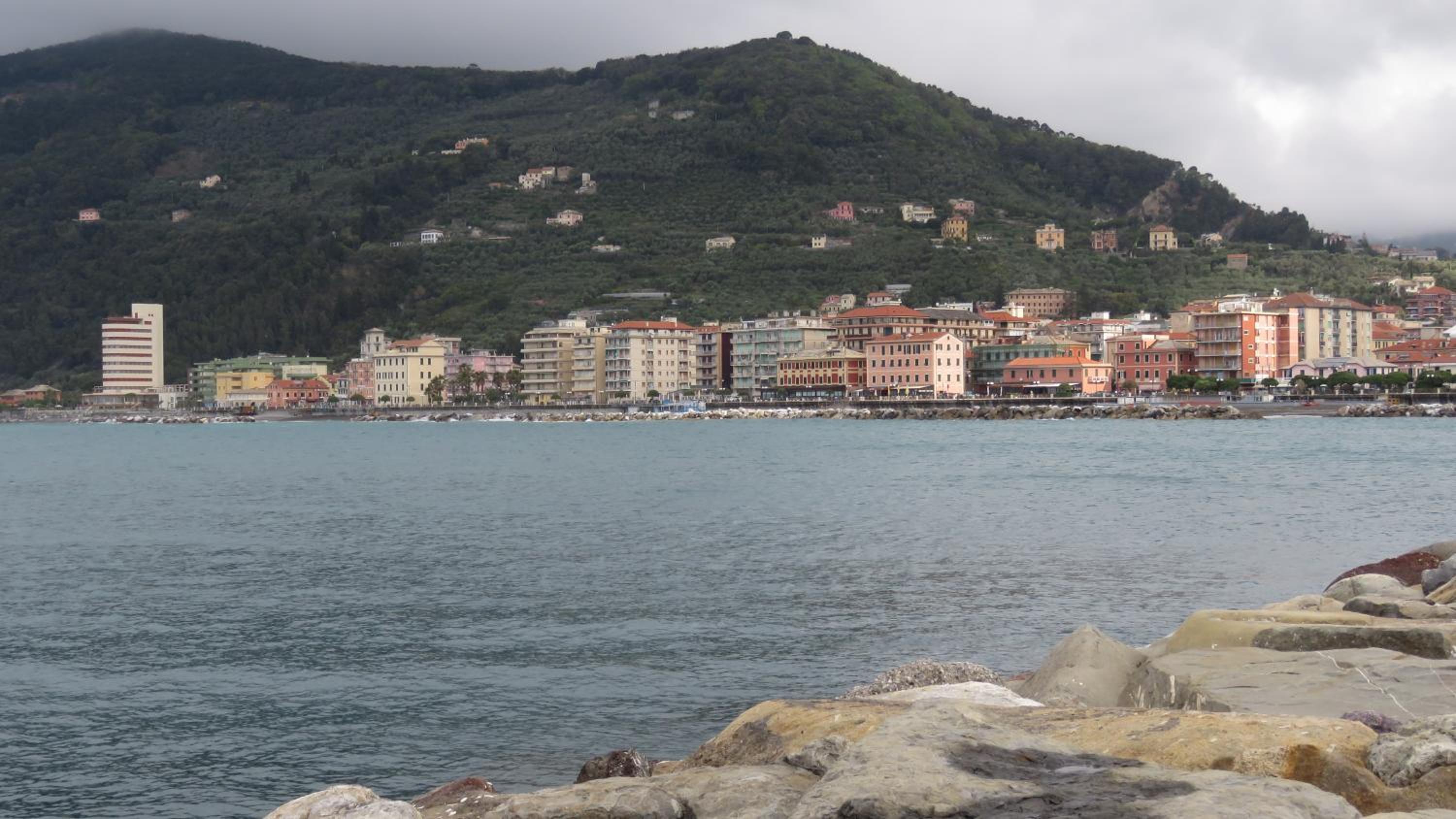 Photo 273