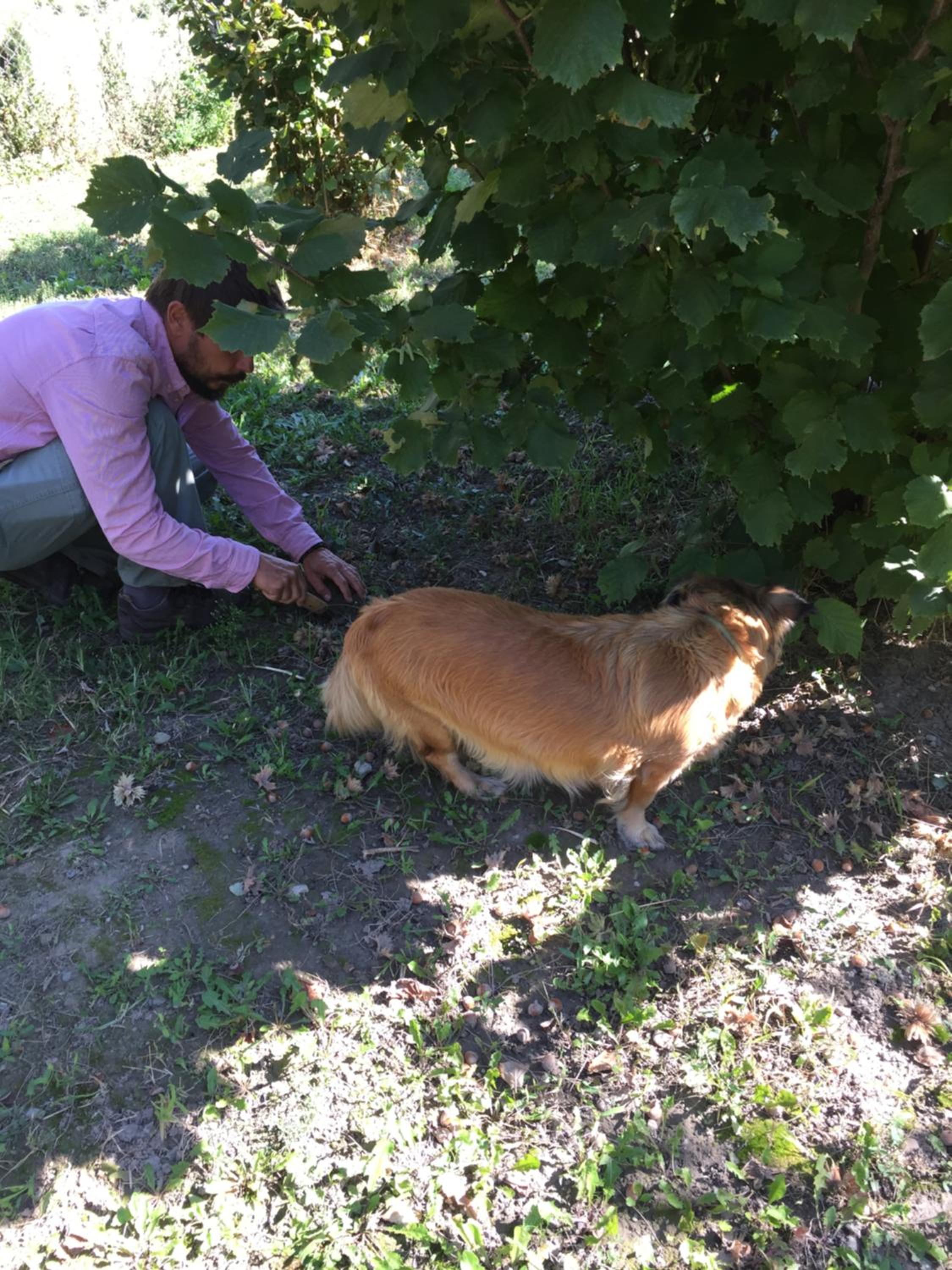 Photo 42