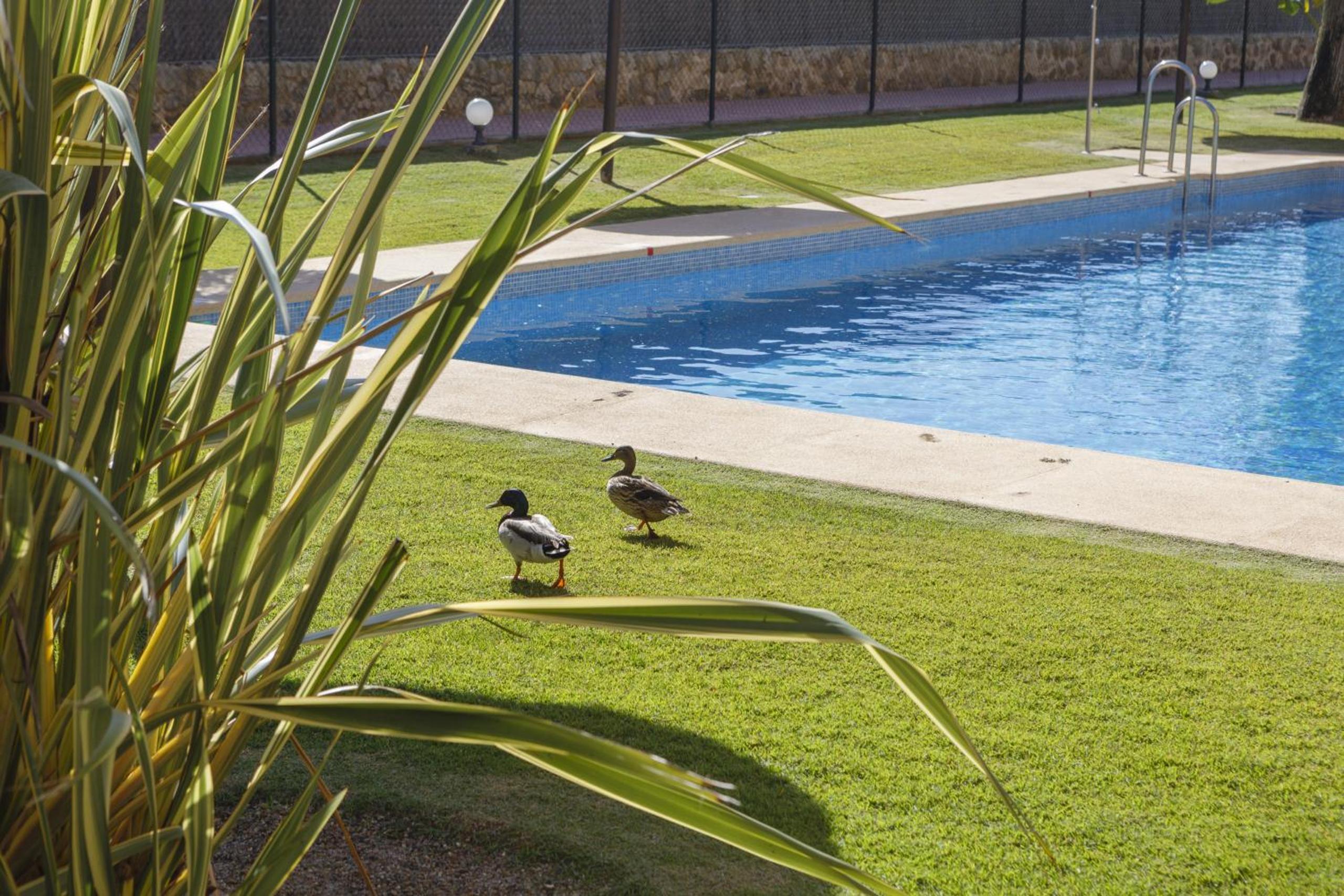 MyChoice Los Corrales by Bossh! Apartments