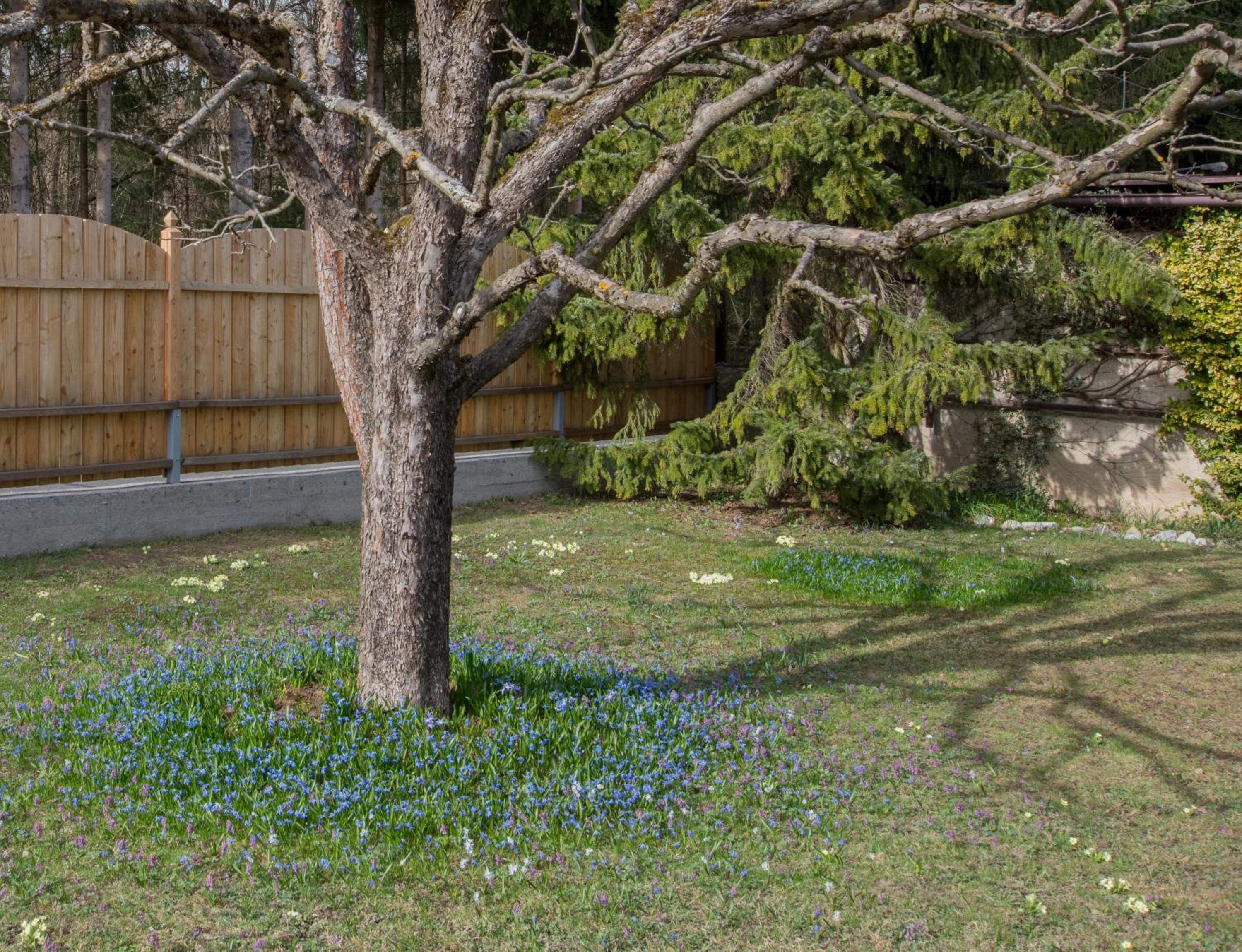 Garten Appartement Harmony