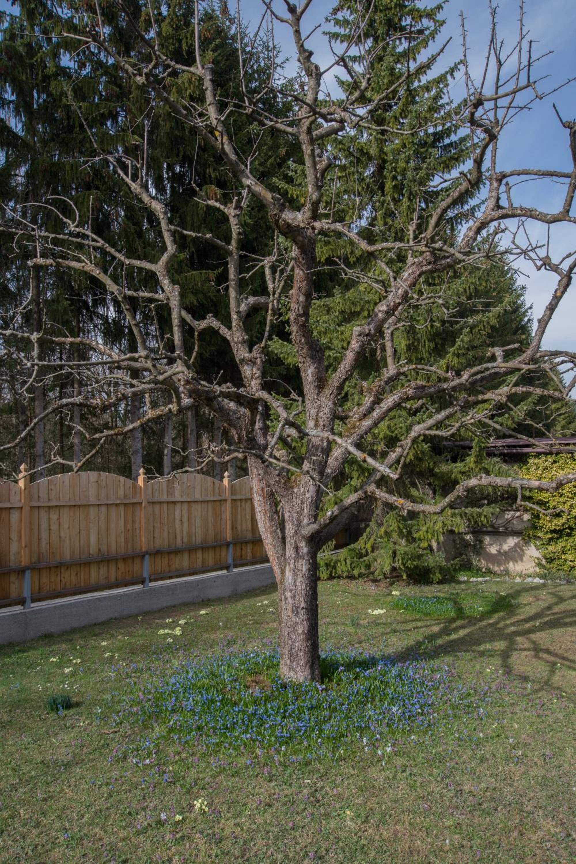 Garten Appartement Harmony