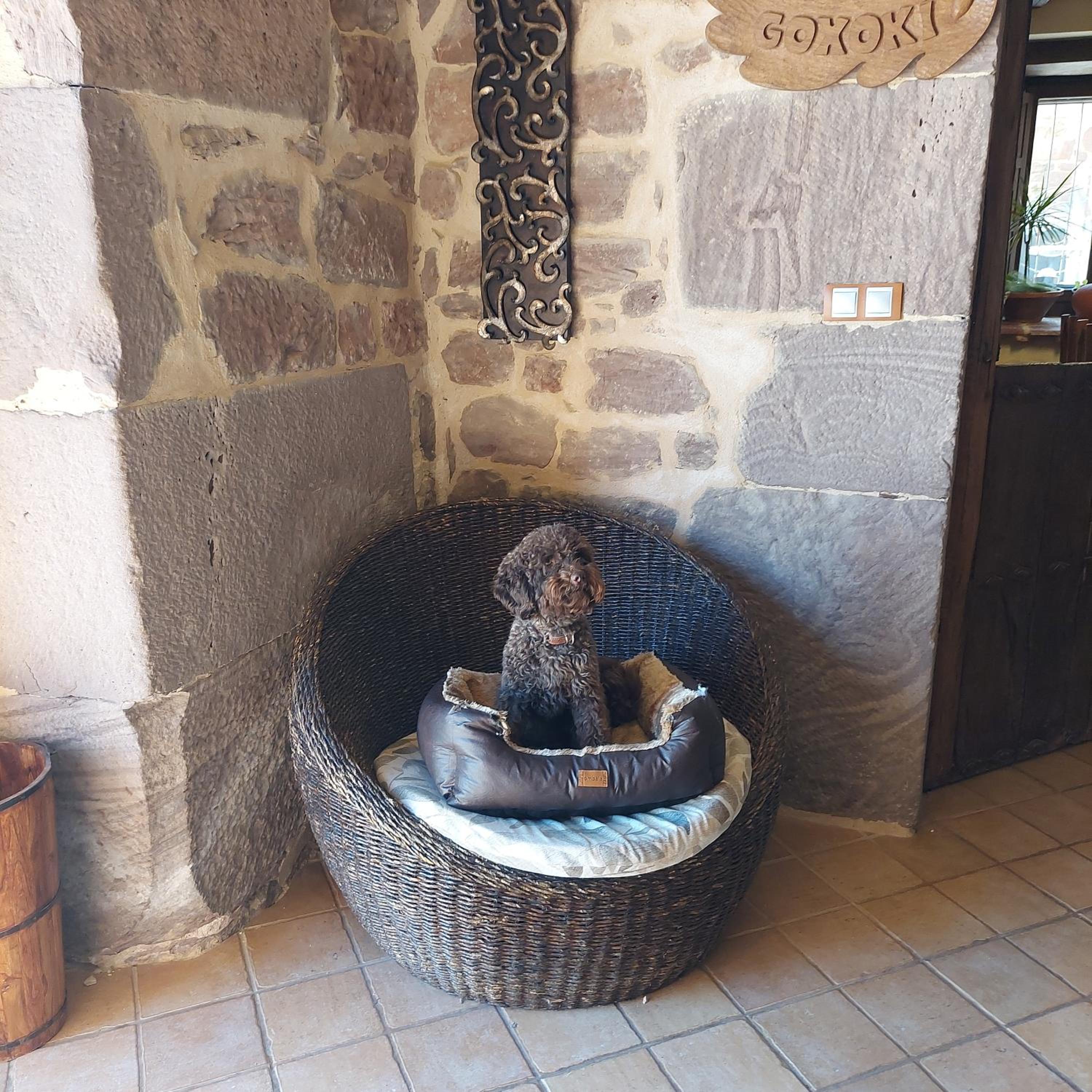Hostal Rural Ioar