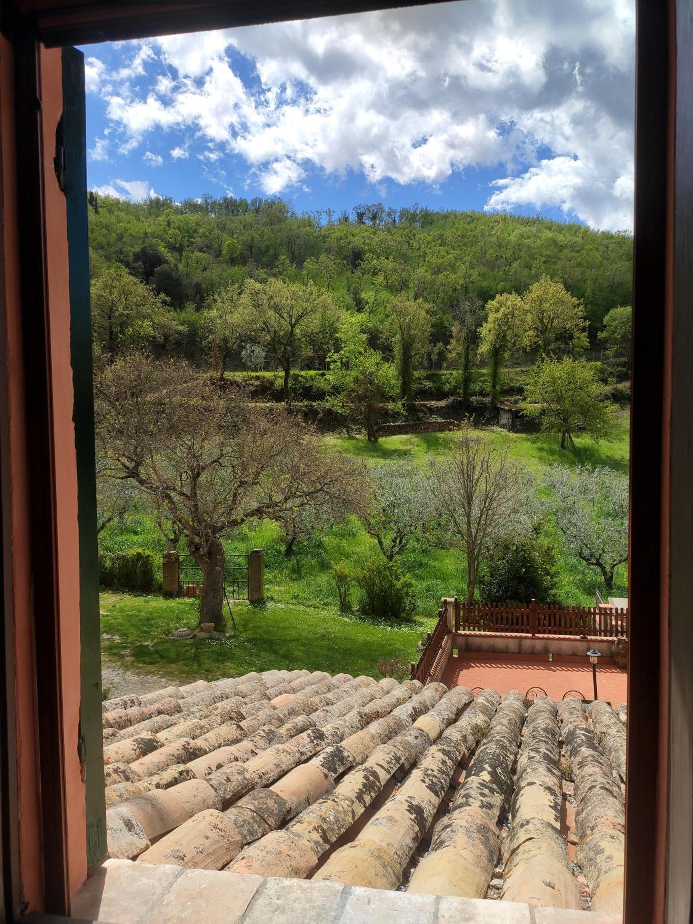 B&B I Martelli view 3