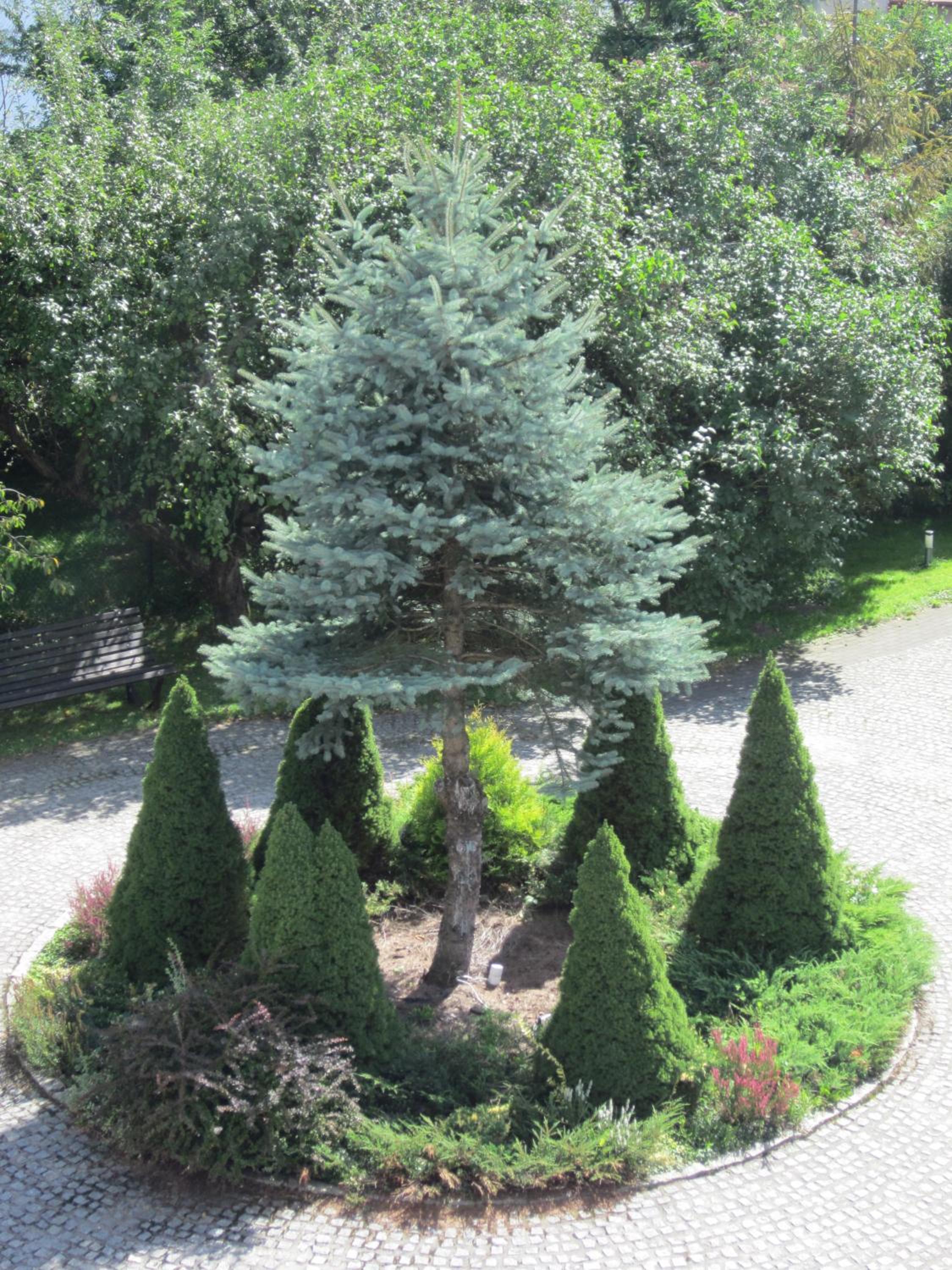 Photo 25