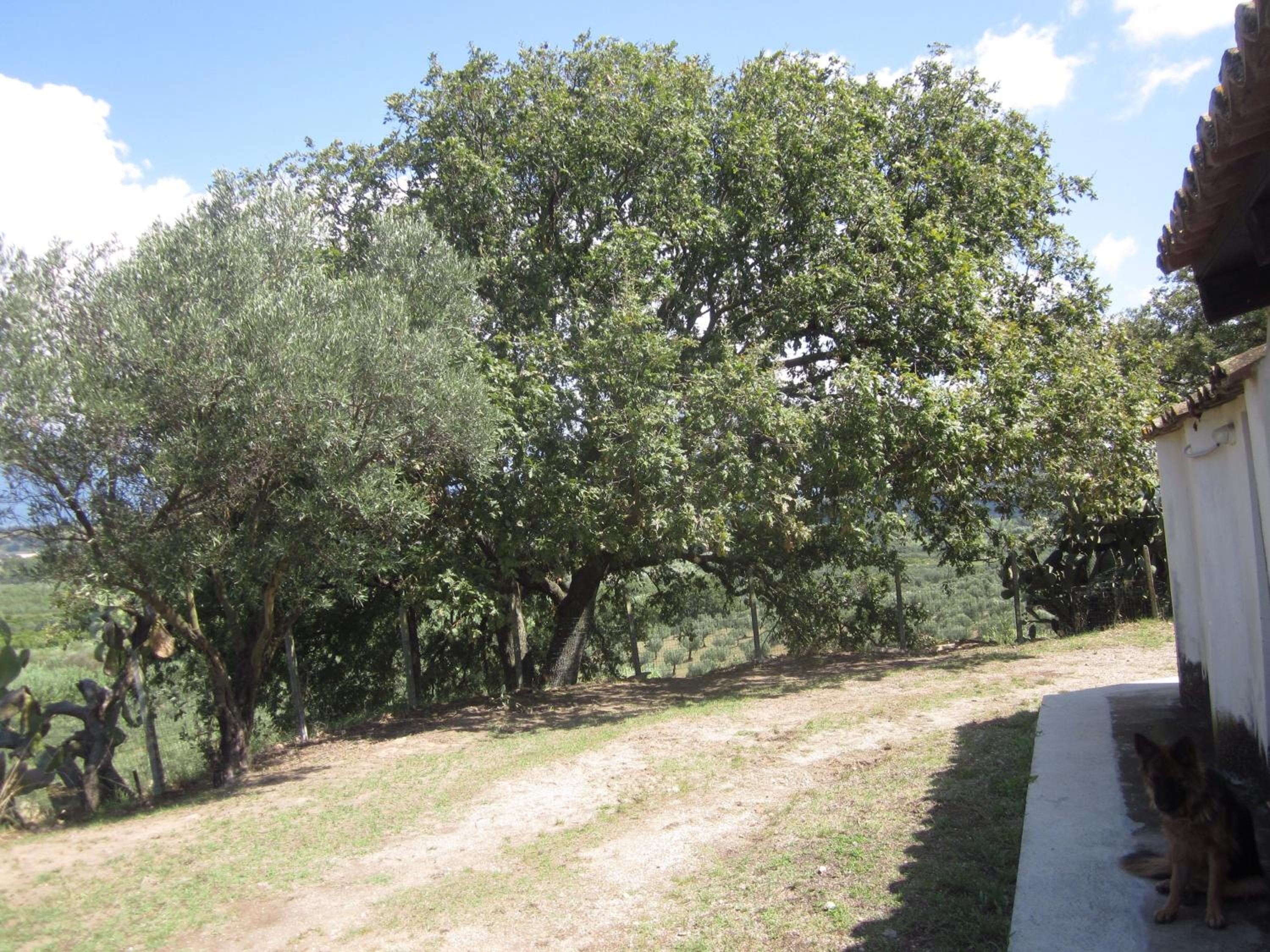 Photo 30