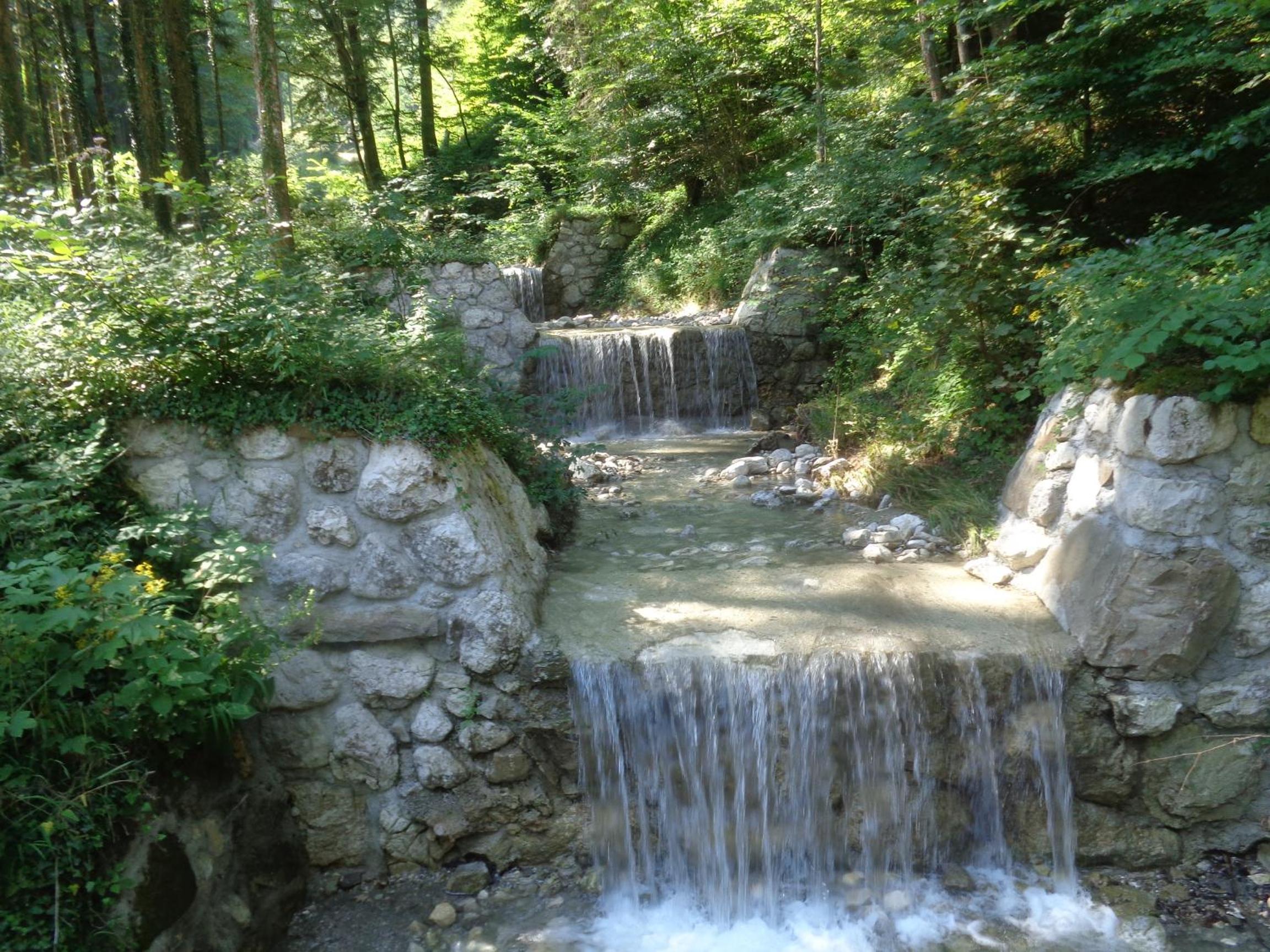 Photo 31