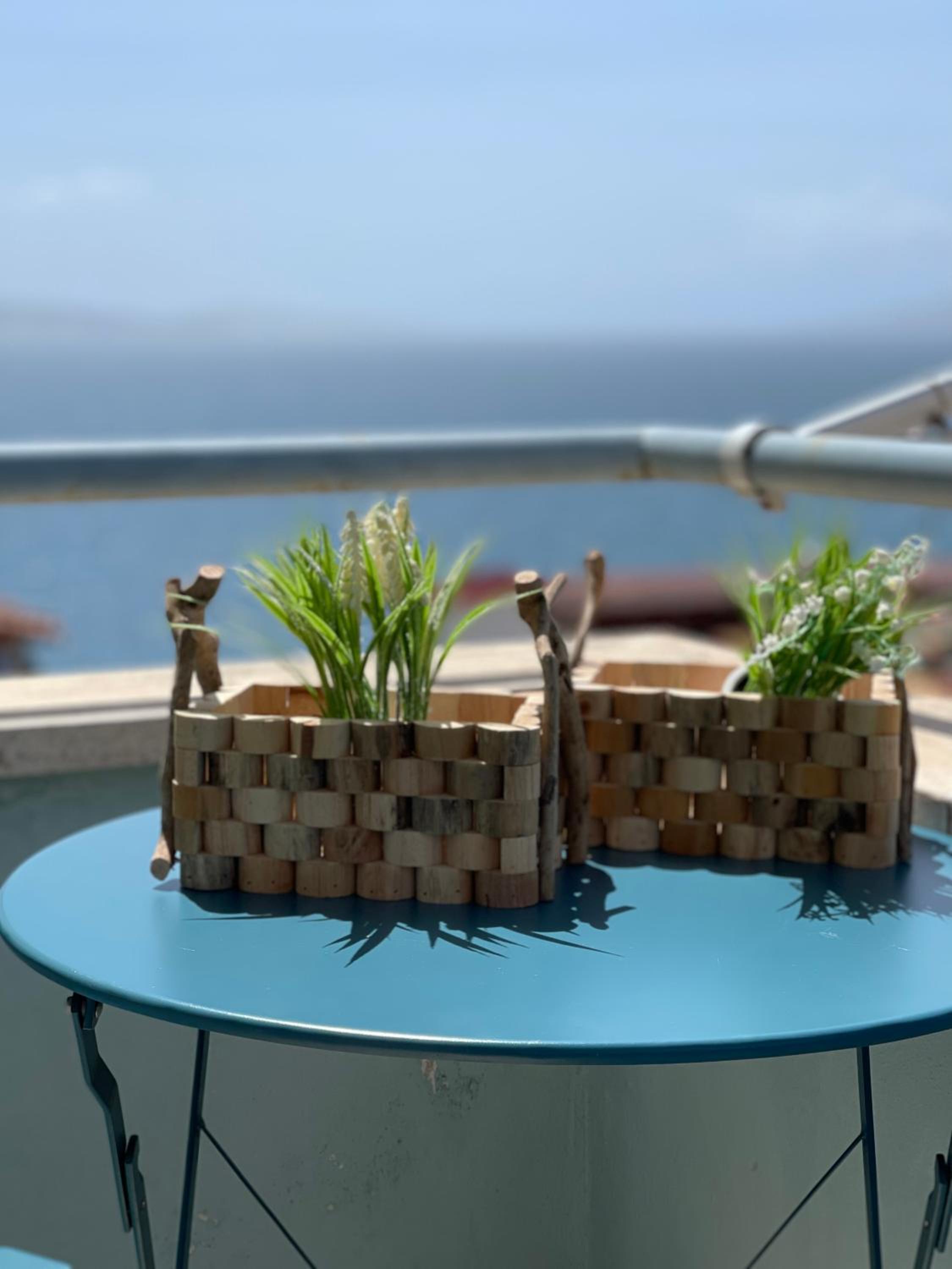 Ola apartament