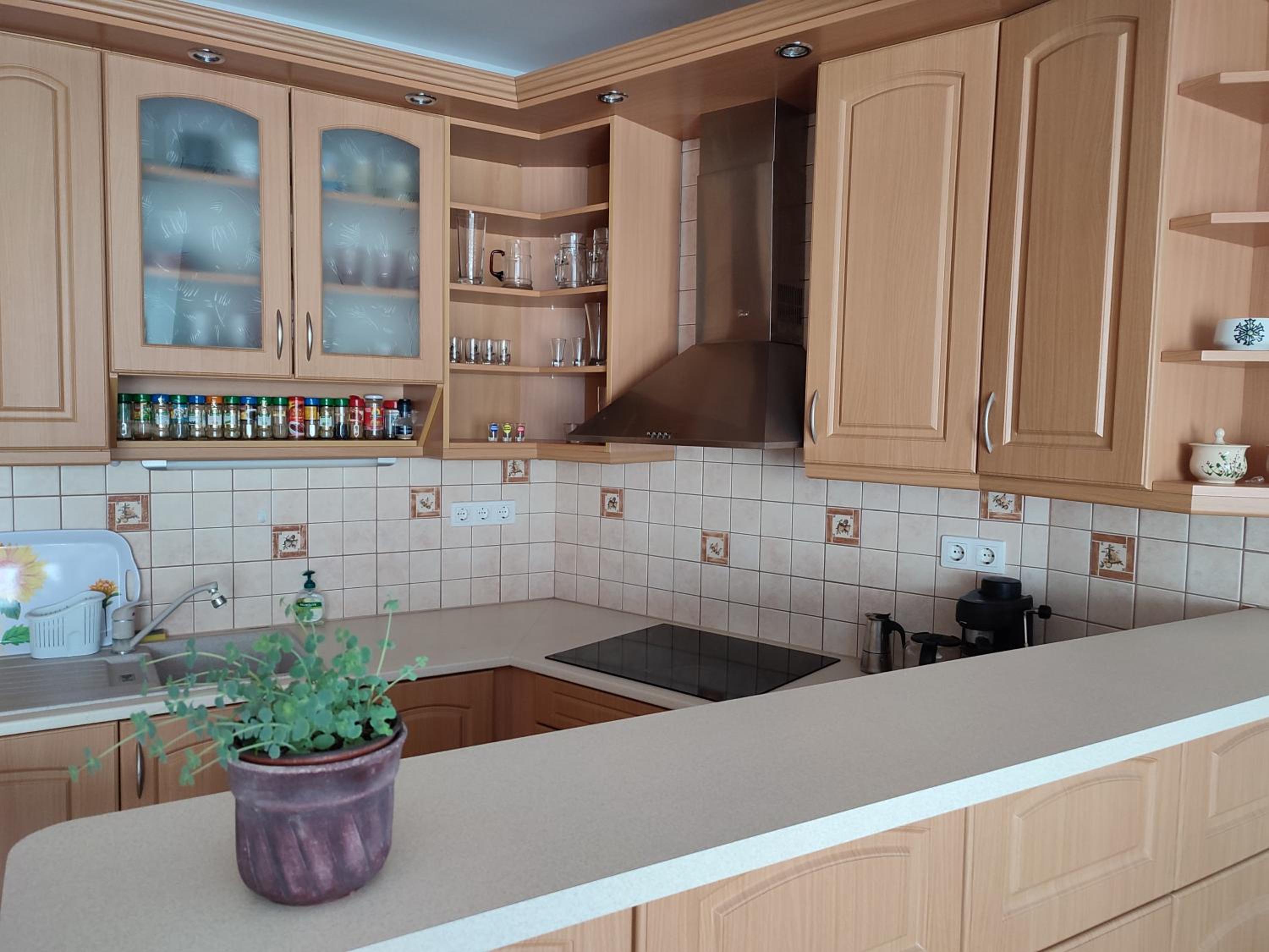 LARIX Apartman view 2