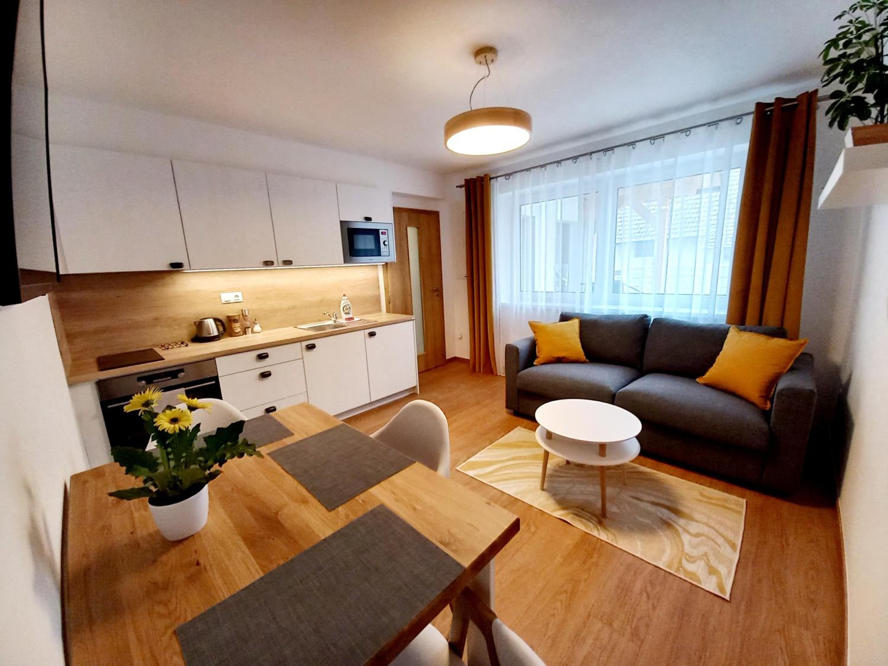 Apartmány Olšovská view 5