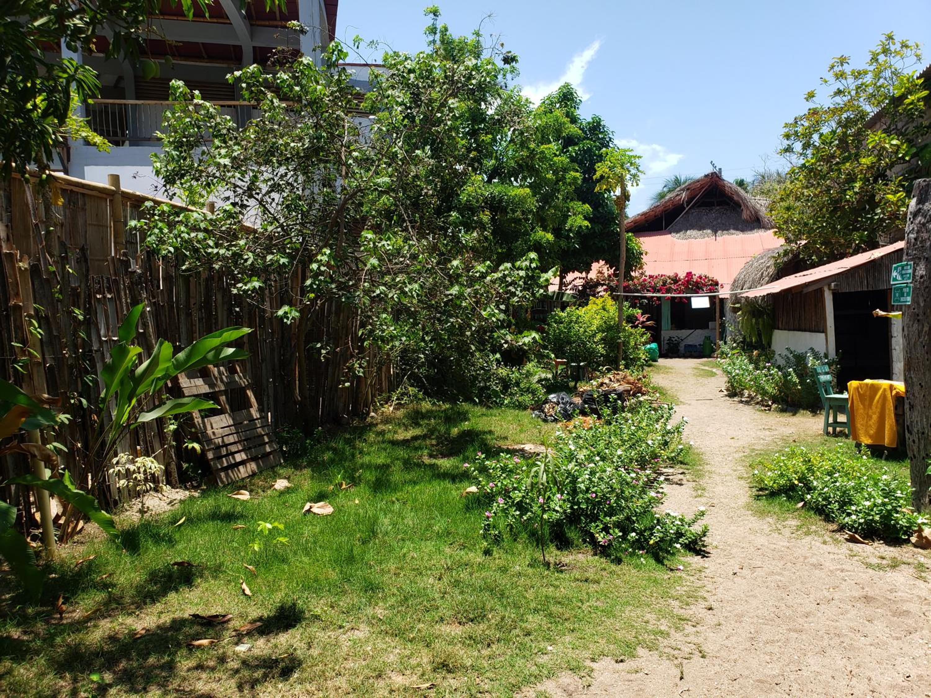 Photo 19